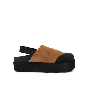 ABBY -Scholl