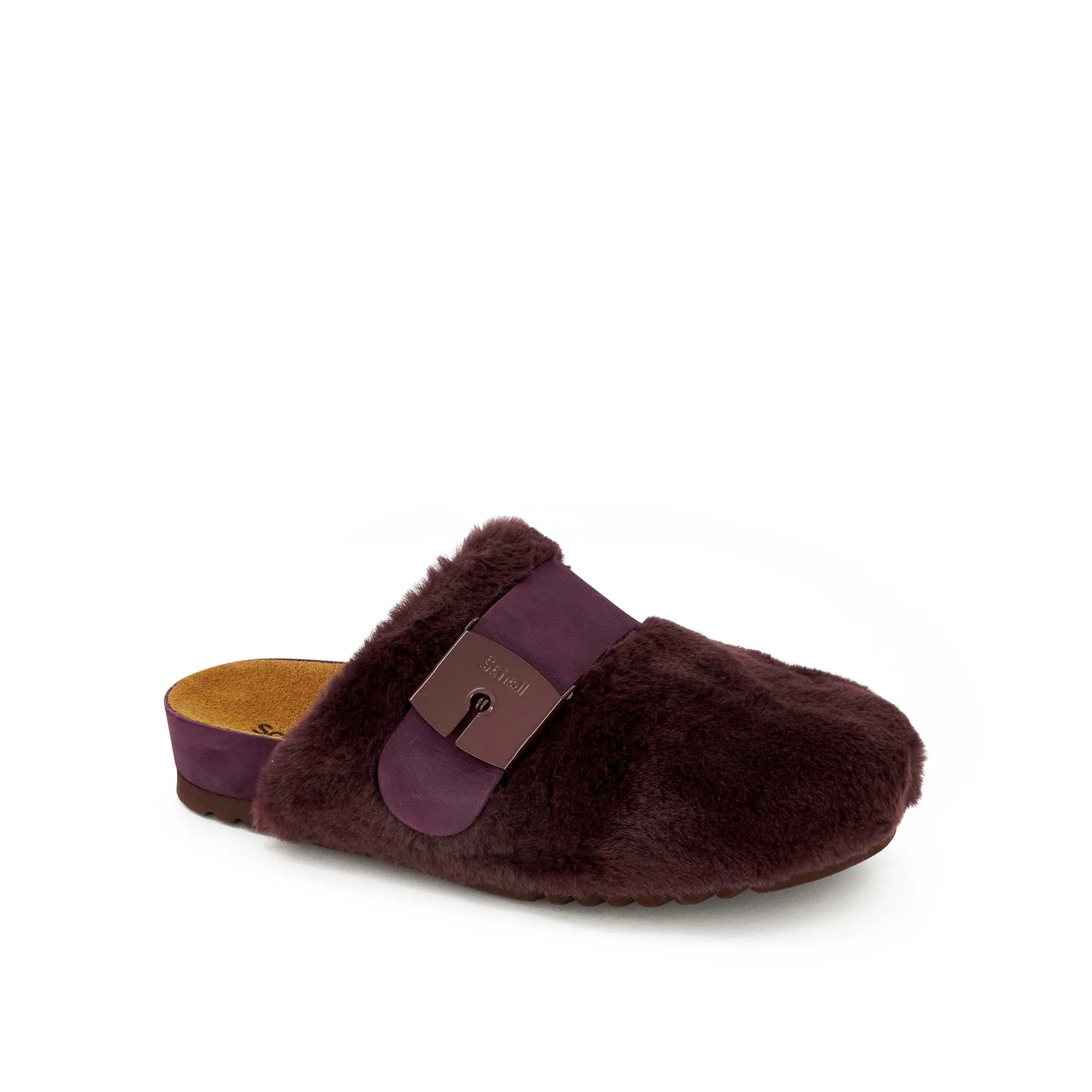 ALASKA 3.0 -Scholl