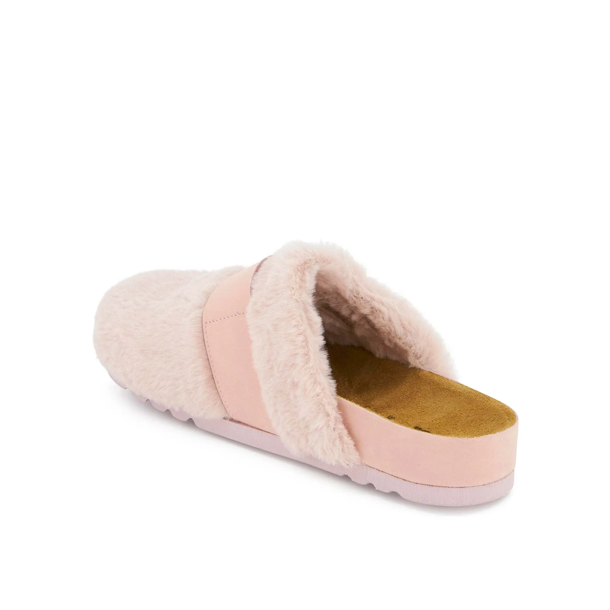 ALASKA 3.0 -Scholl