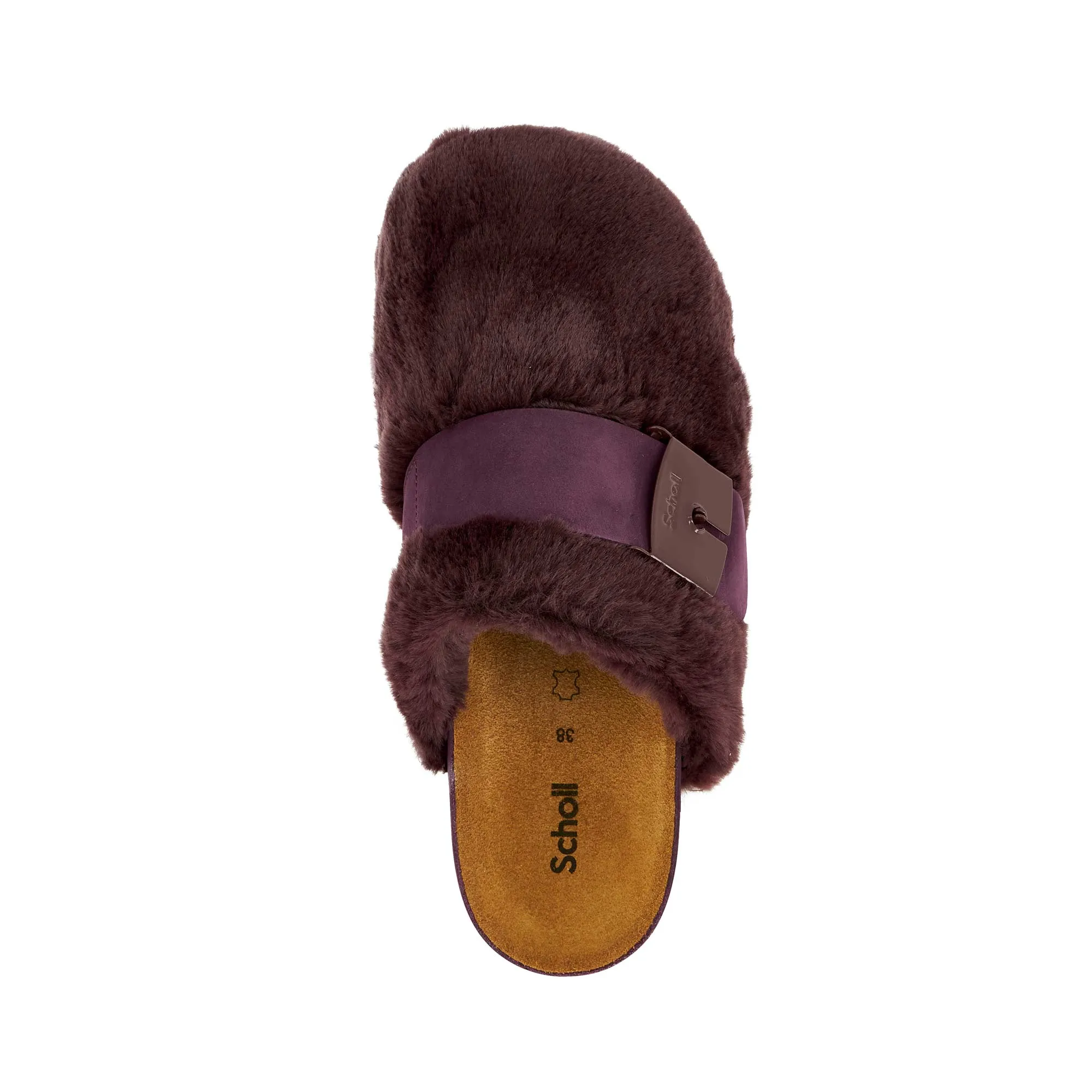 ALASKA 3.0 -Scholl