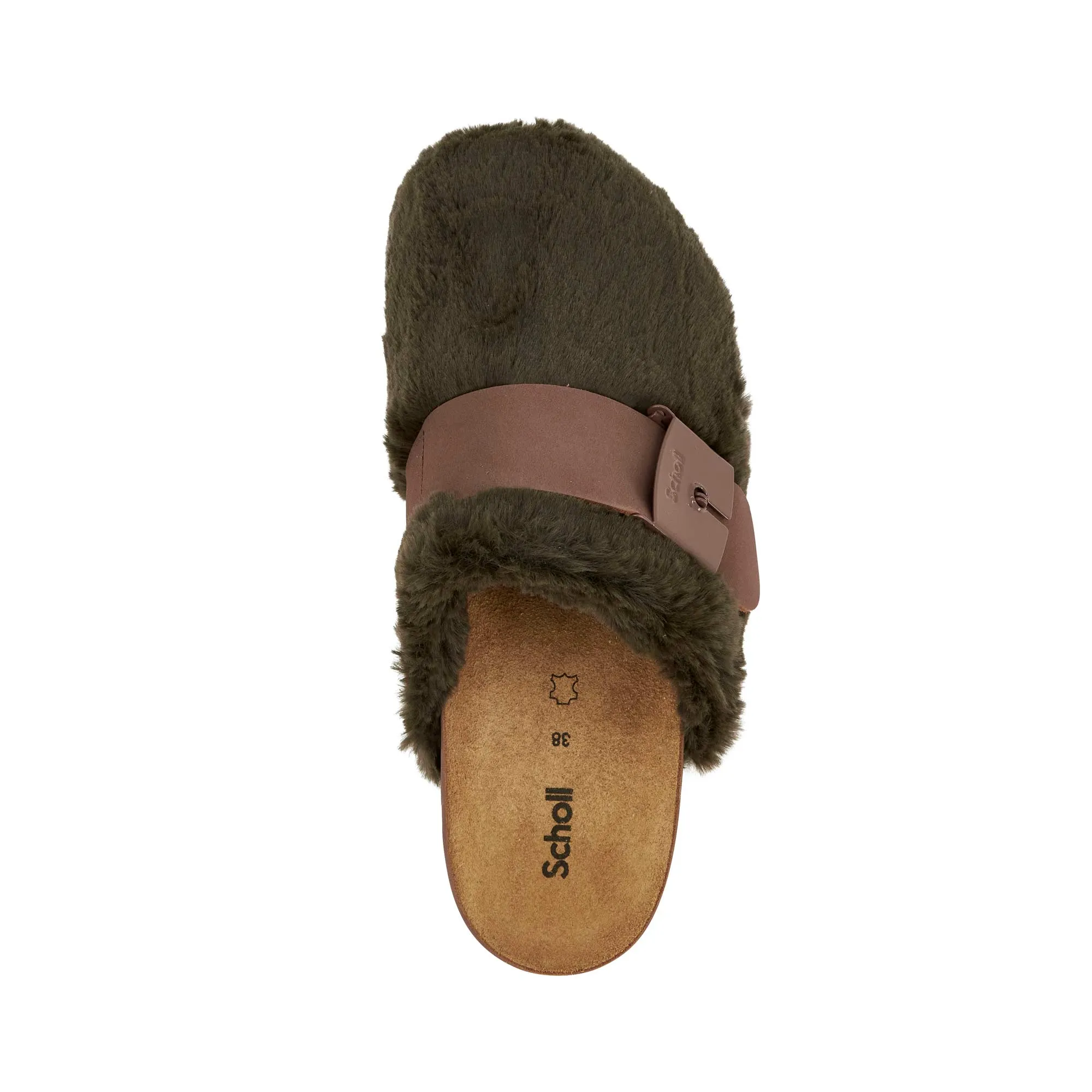 ALASKA 3.0 -Scholl