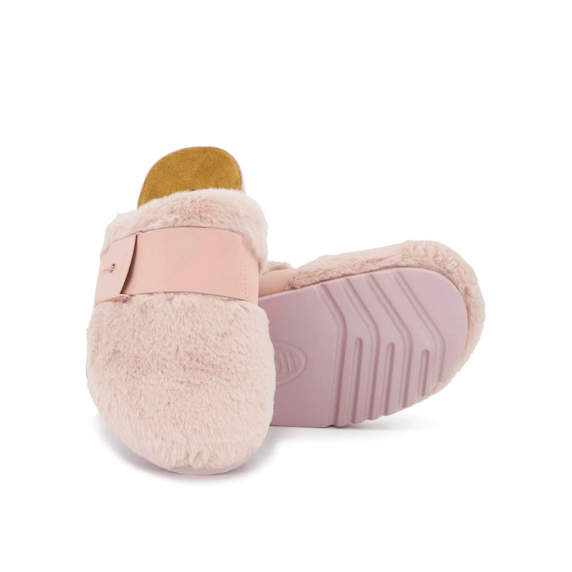 ALASKA 3.0 -Scholl