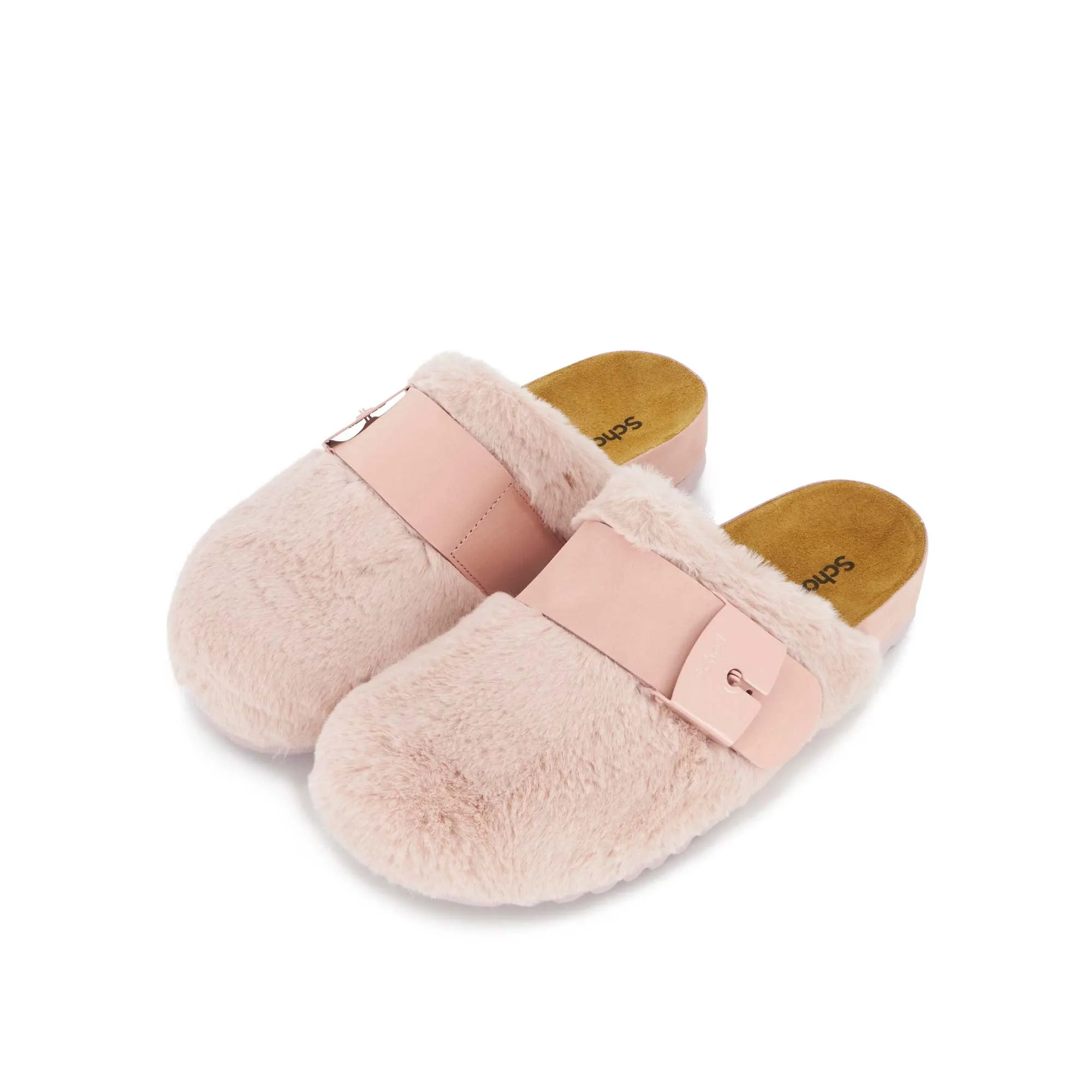 ALASKA 3.0 -Scholl