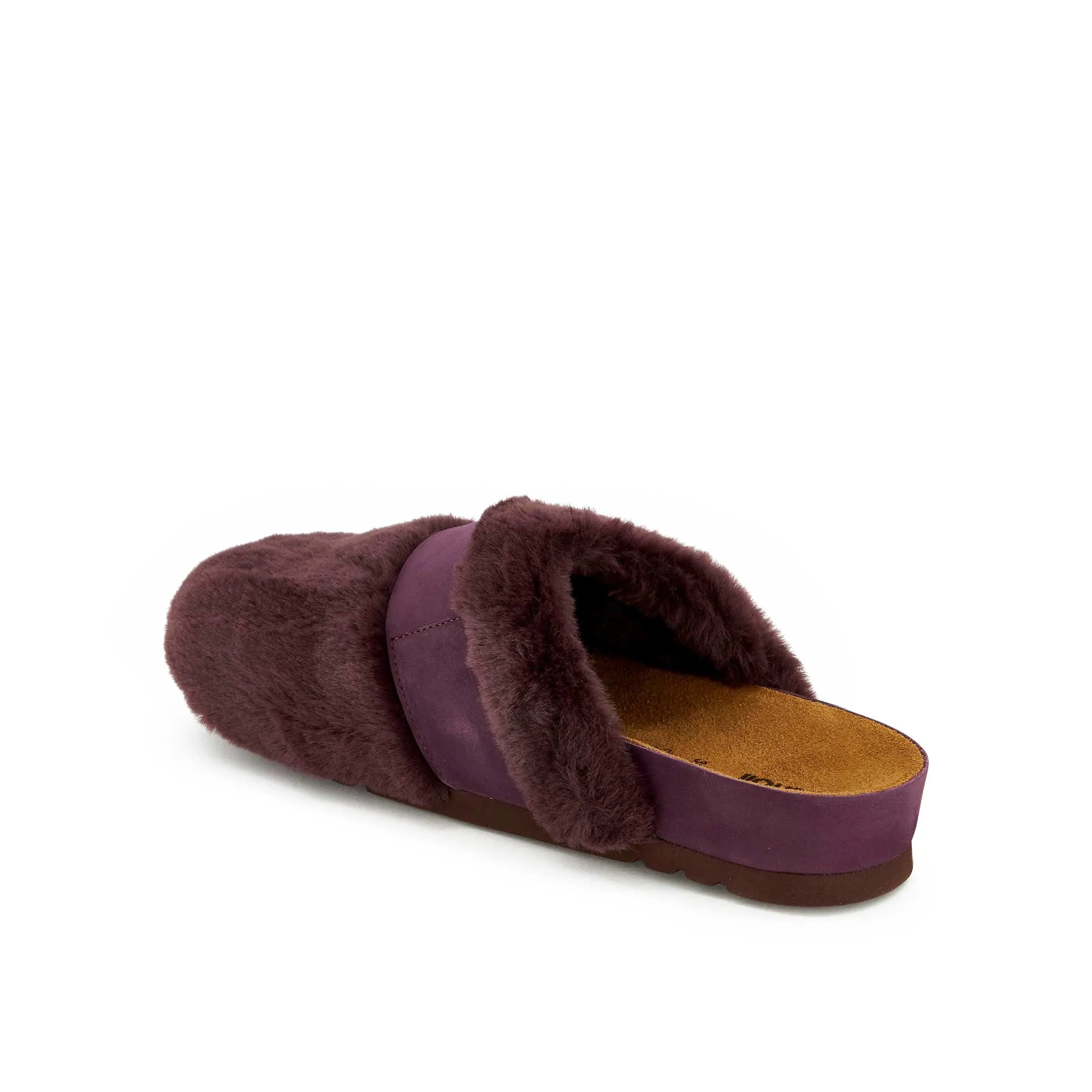 ALASKA 3.0 -Scholl