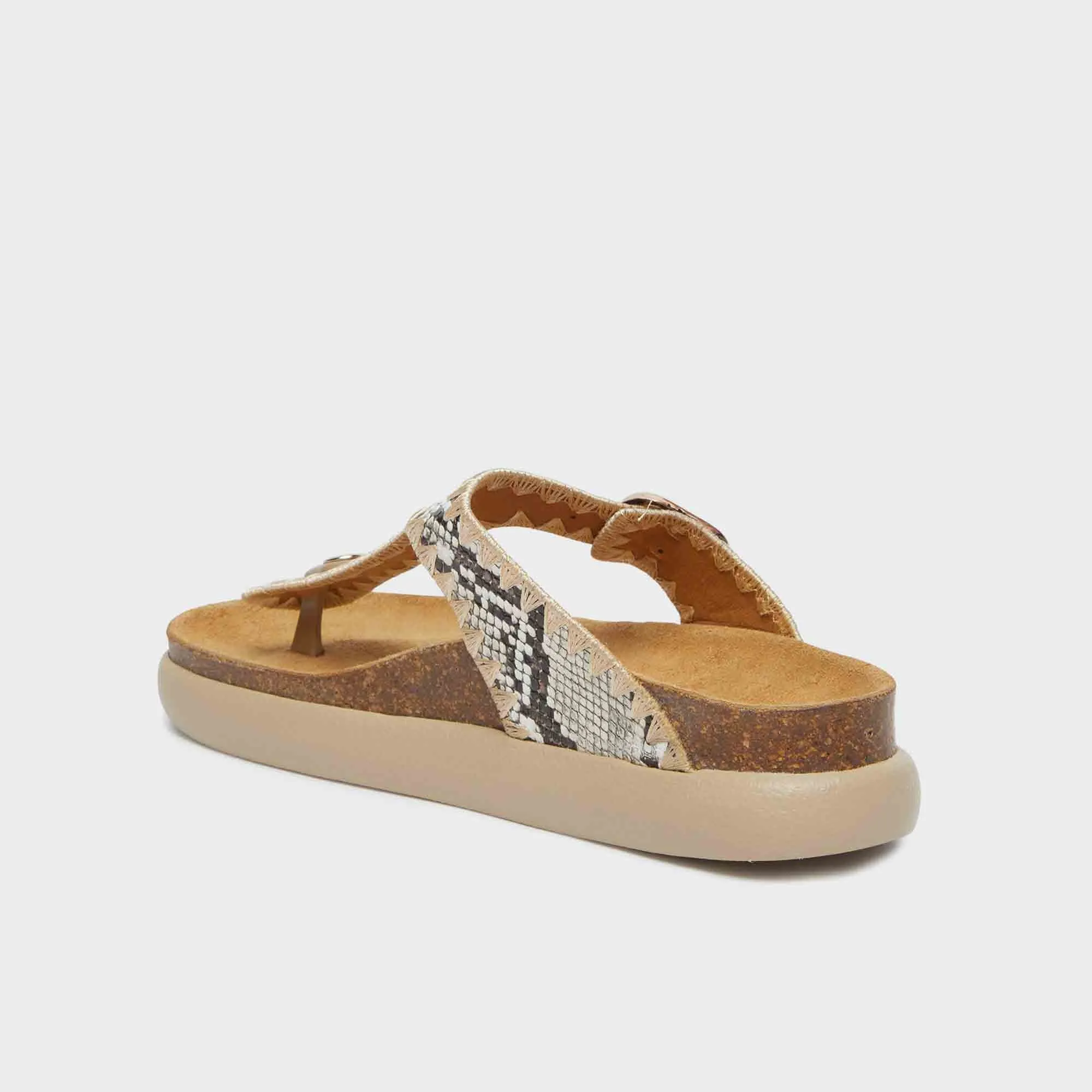 Anais Chunky Women Shoes-Scholl