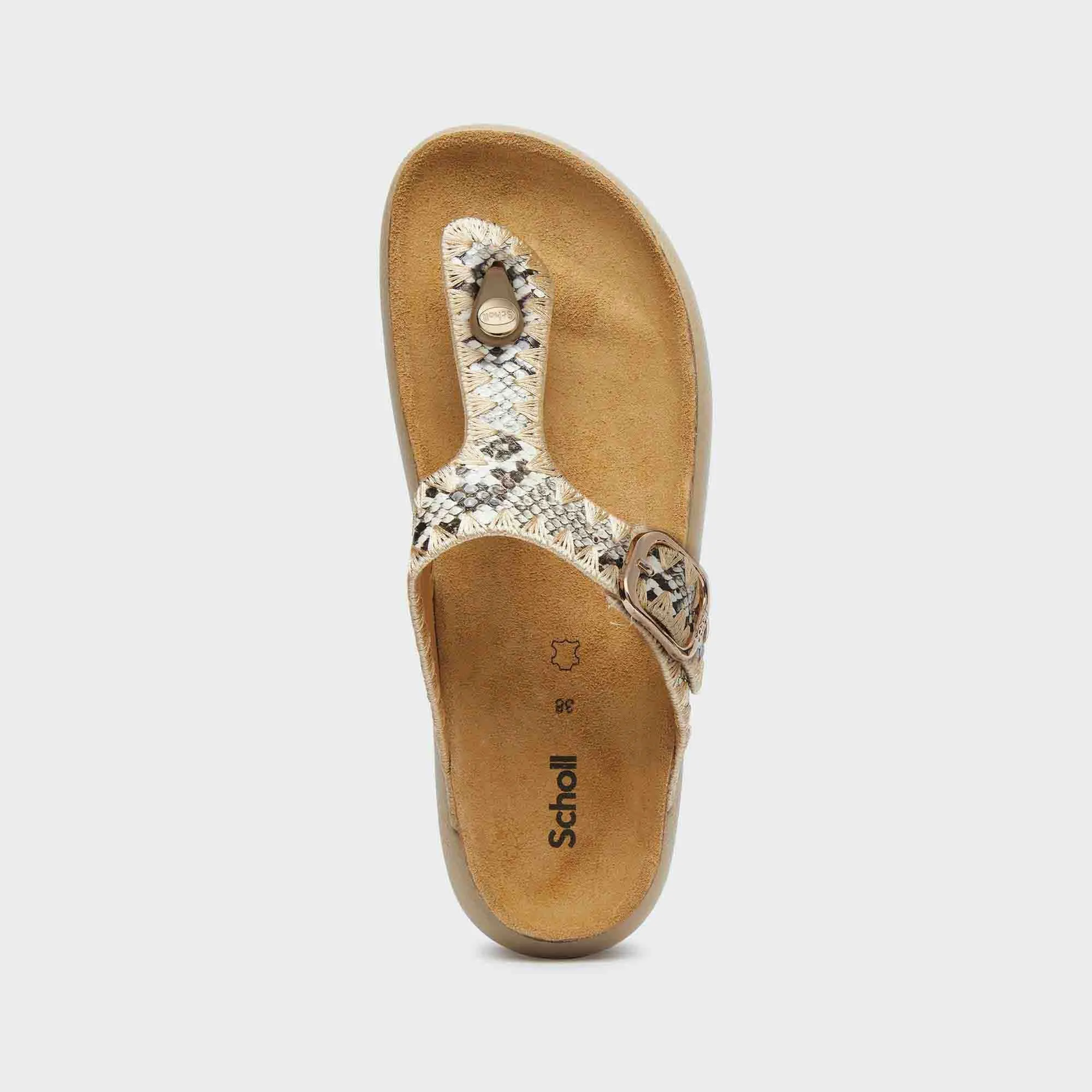 Anais Chunky Women Shoes-Scholl