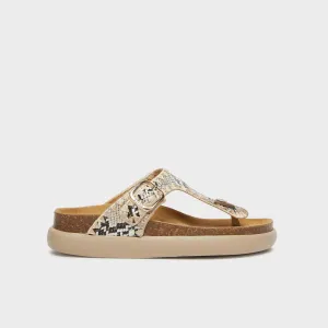 Anais Chunky Women Shoes-Scholl