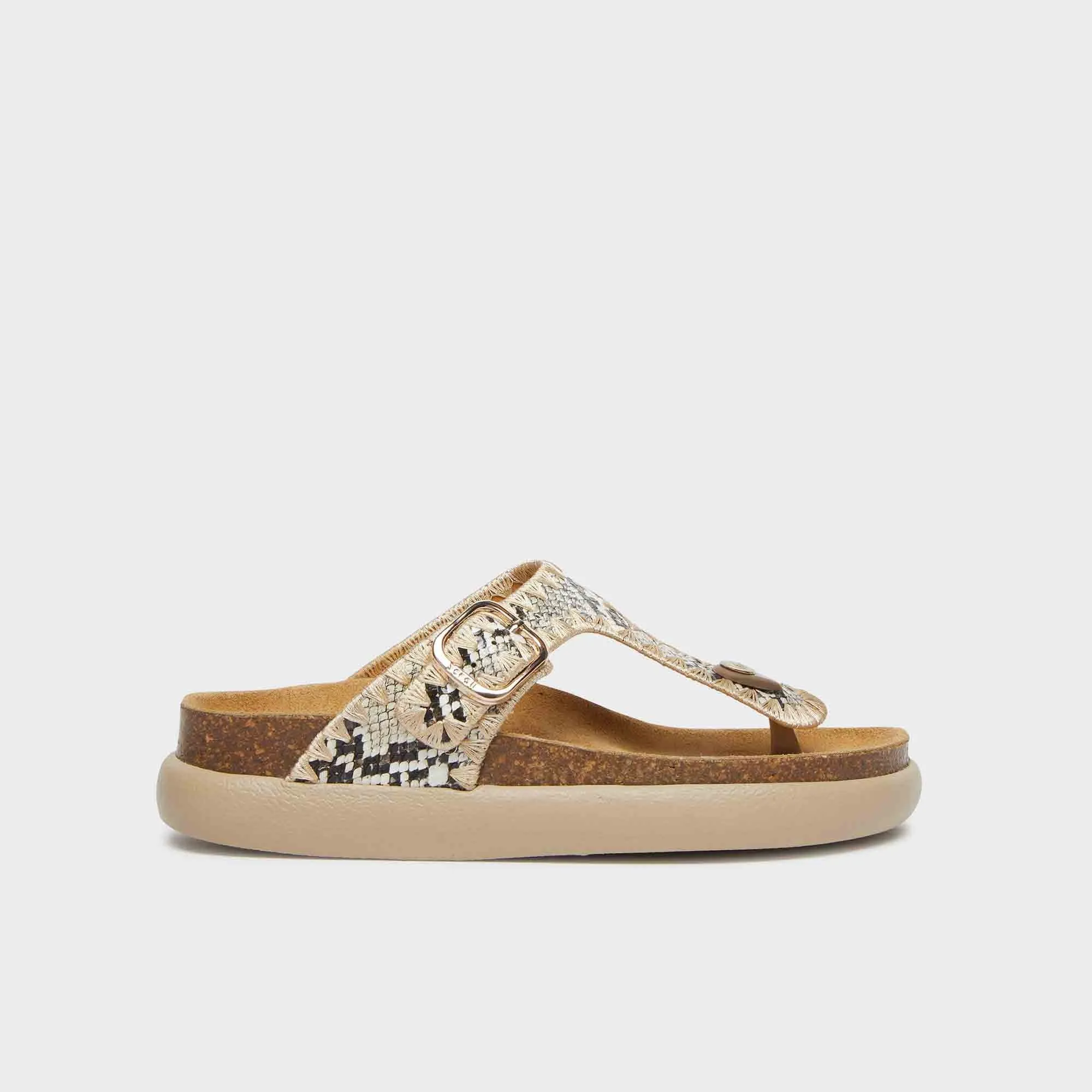 Anais Chunky Women Shoes-Scholl