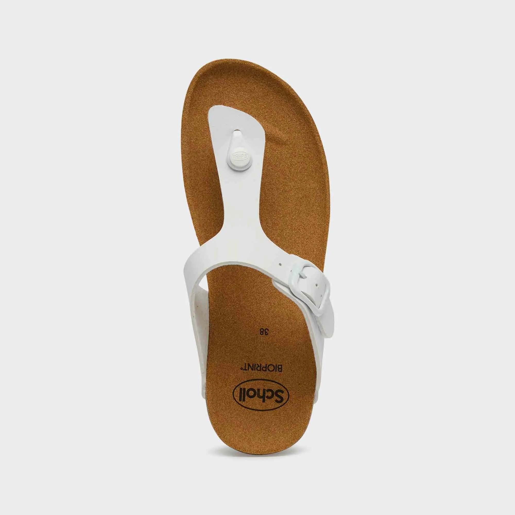 Boa Vista Women Shoes-Scholl