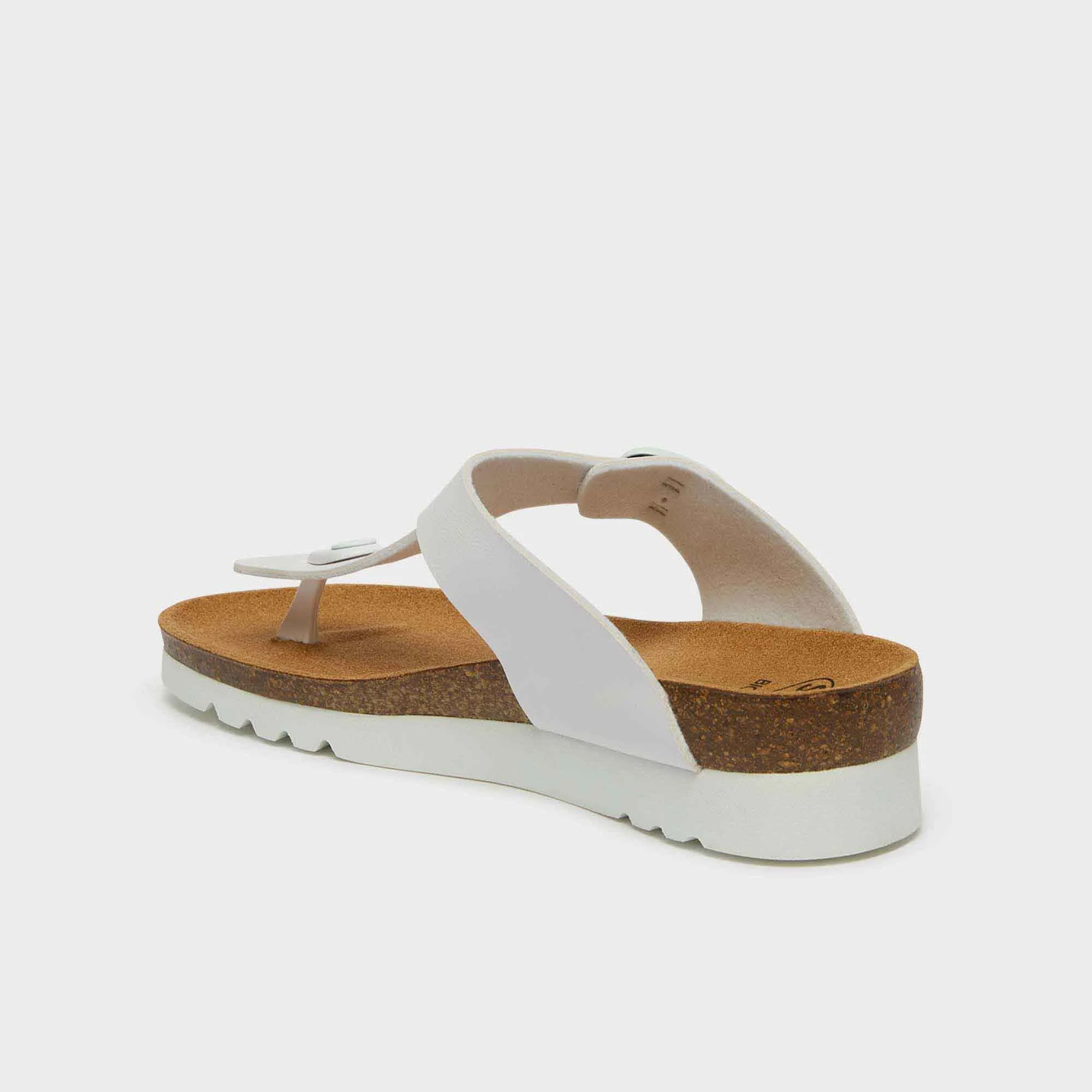Boa Vista Women Shoes-Scholl