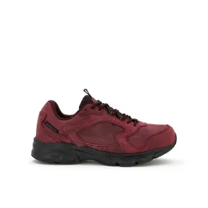 DISCOVER -Scholl