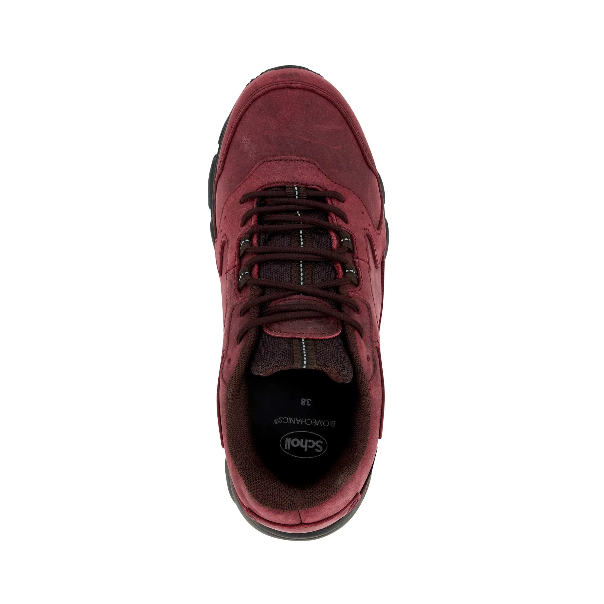 DISCOVER -Scholl