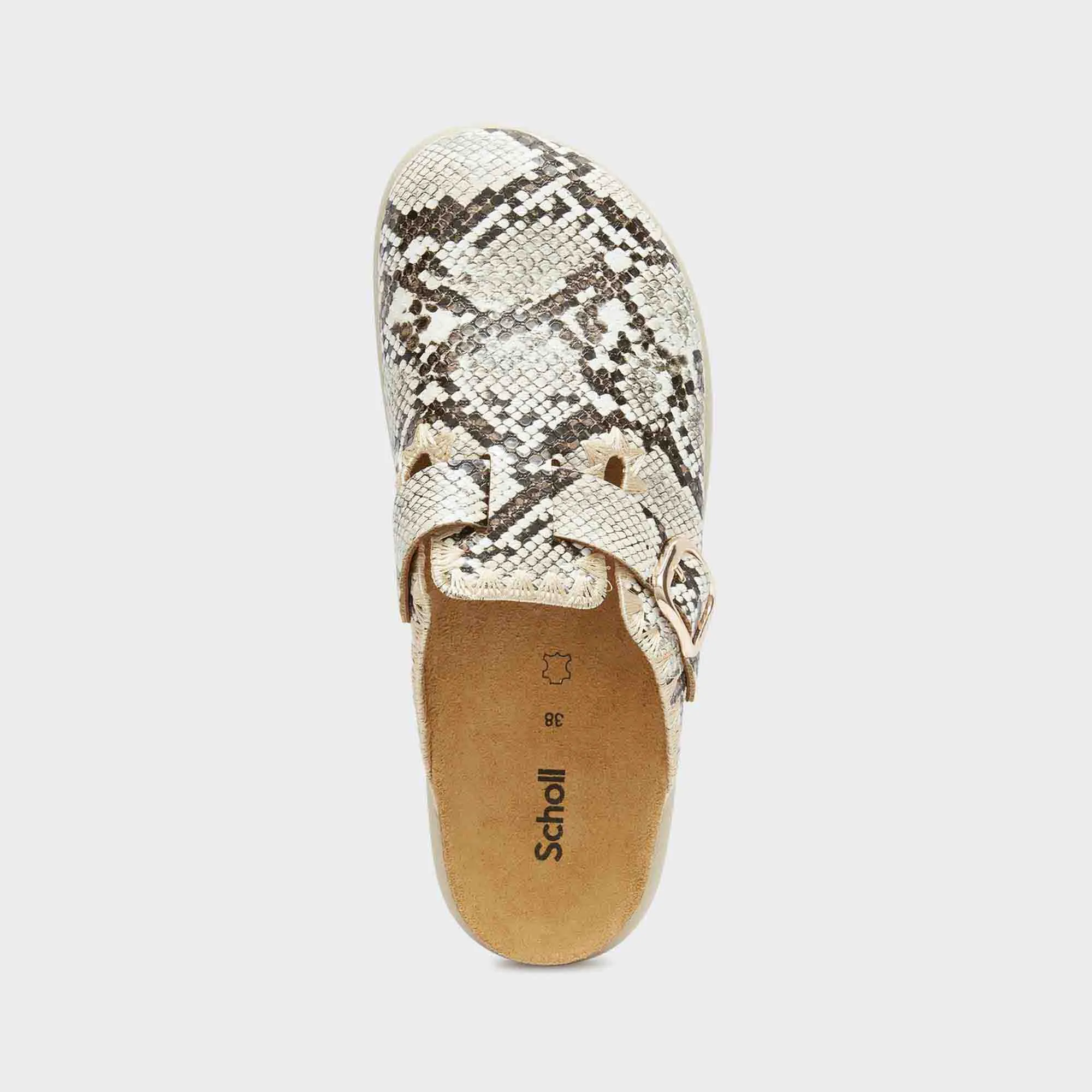 Fae Chunky Women Shoes-Scholl