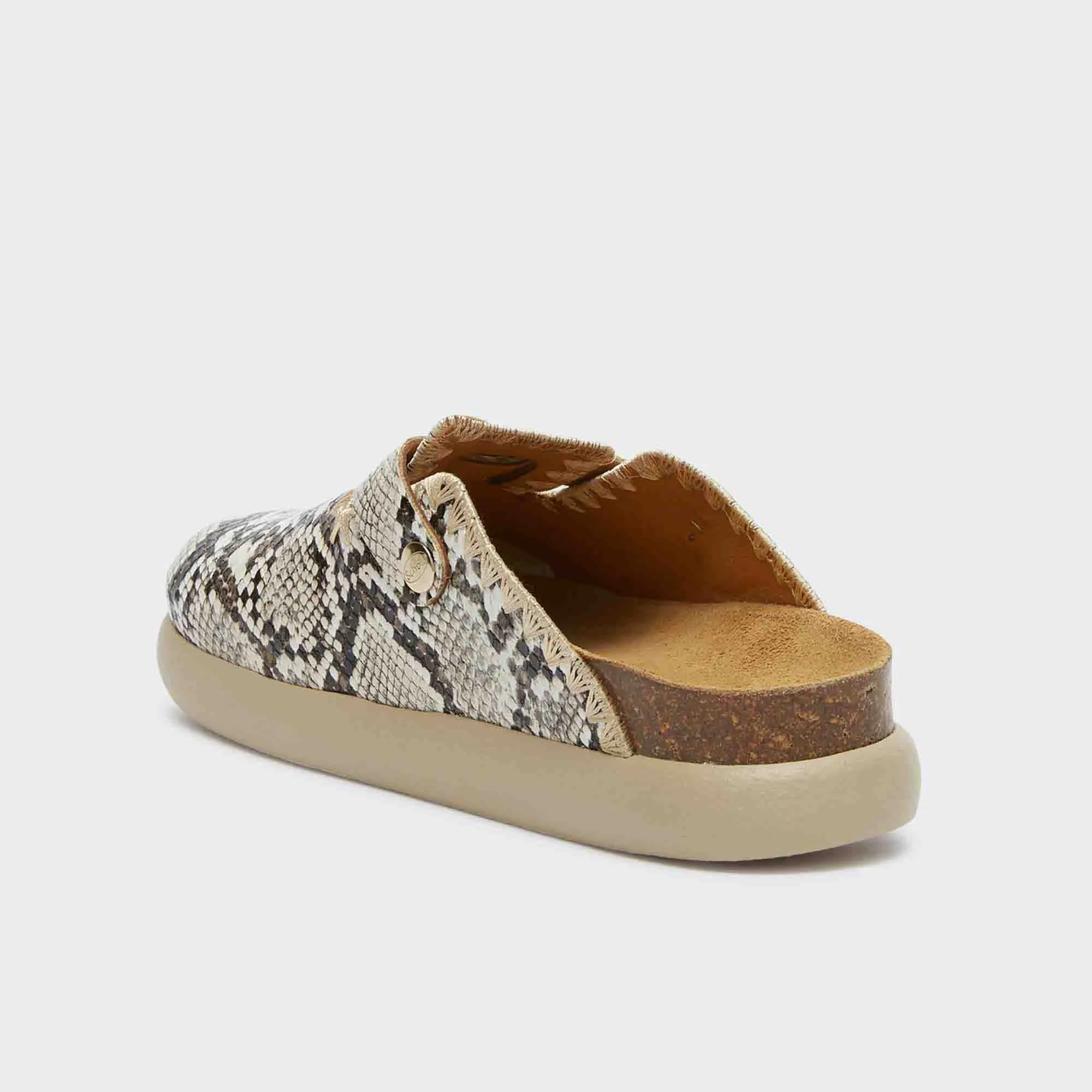 Fae Chunky Women Shoes-Scholl