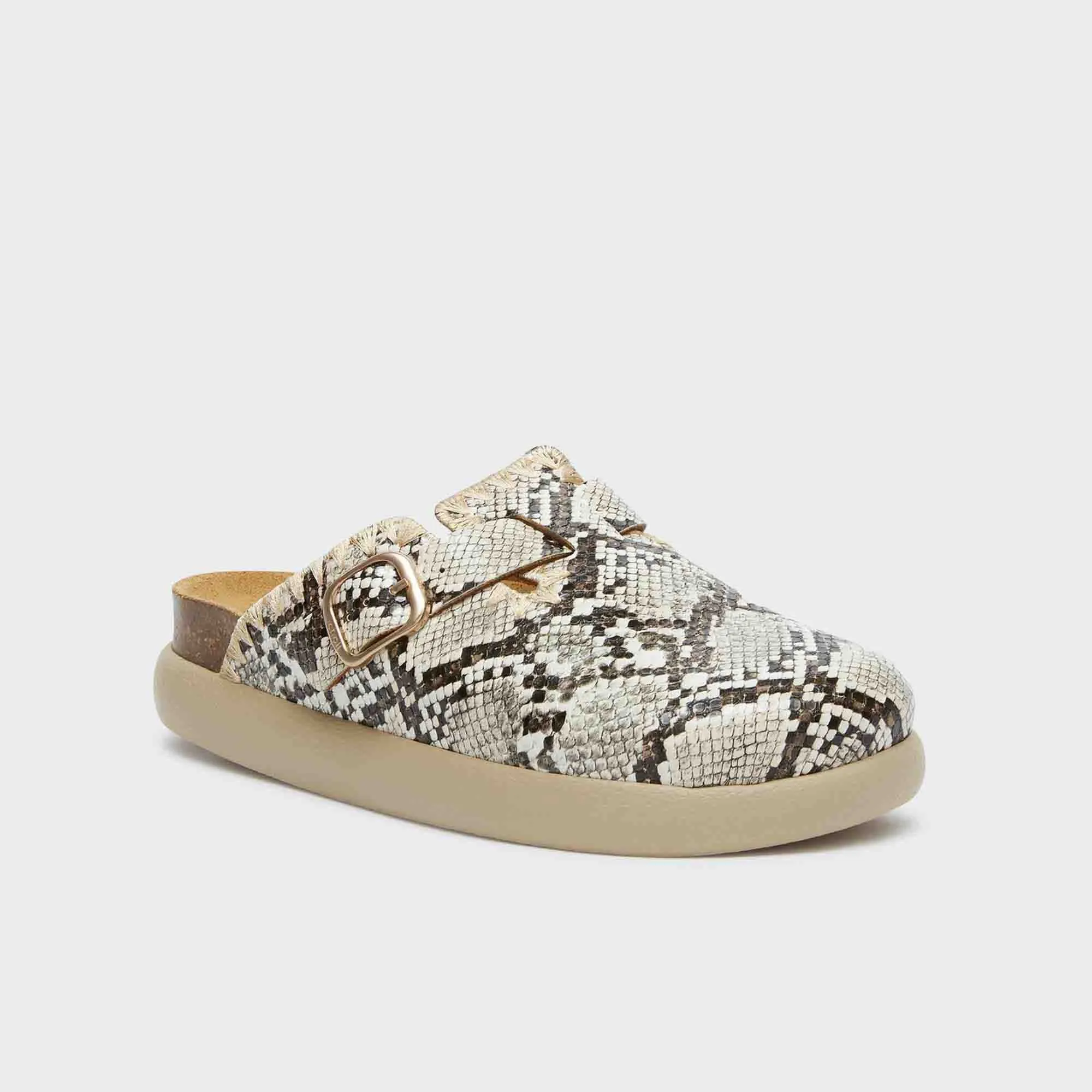 Fae Chunky Women Shoes-Scholl