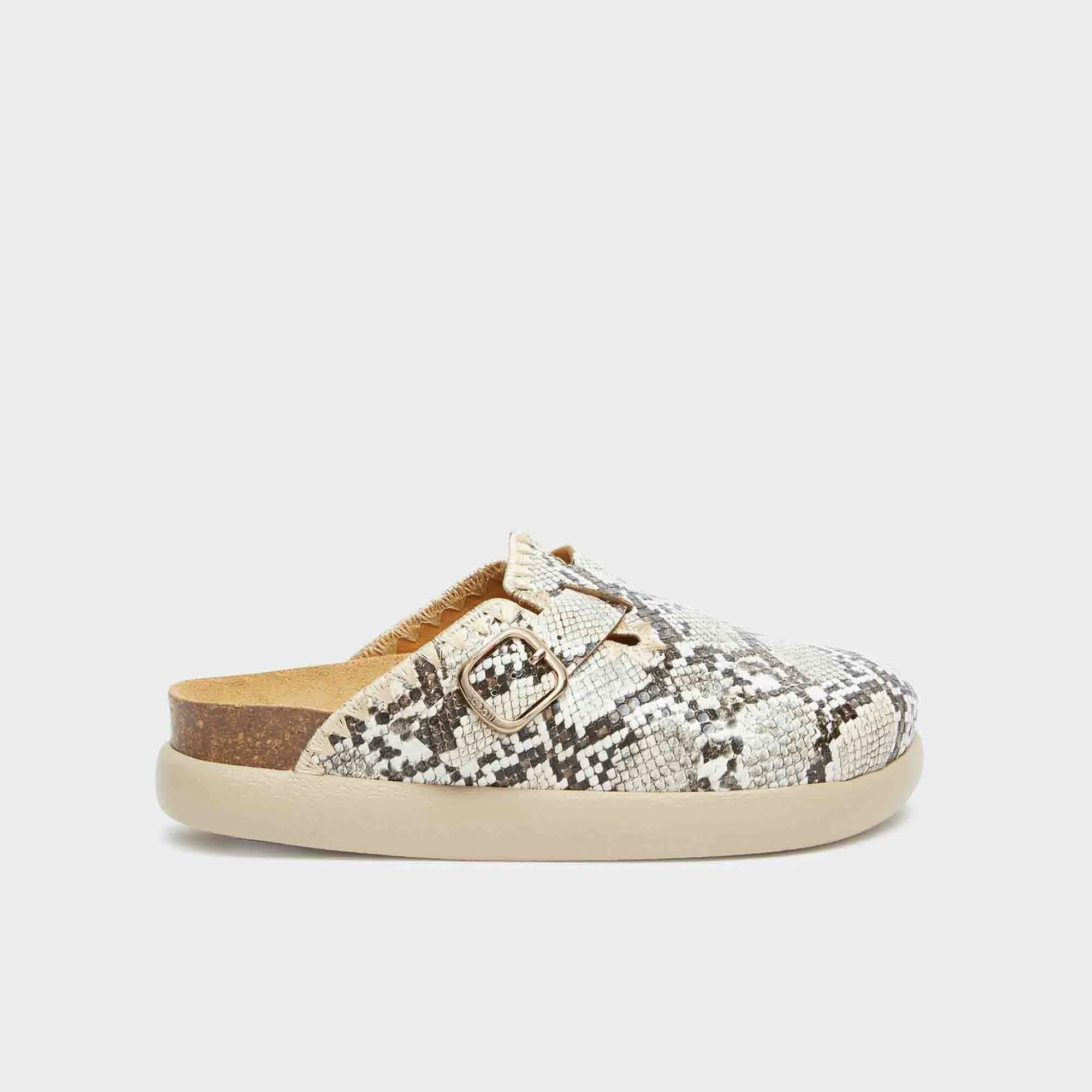 Fae Chunky Women Shoes-Scholl