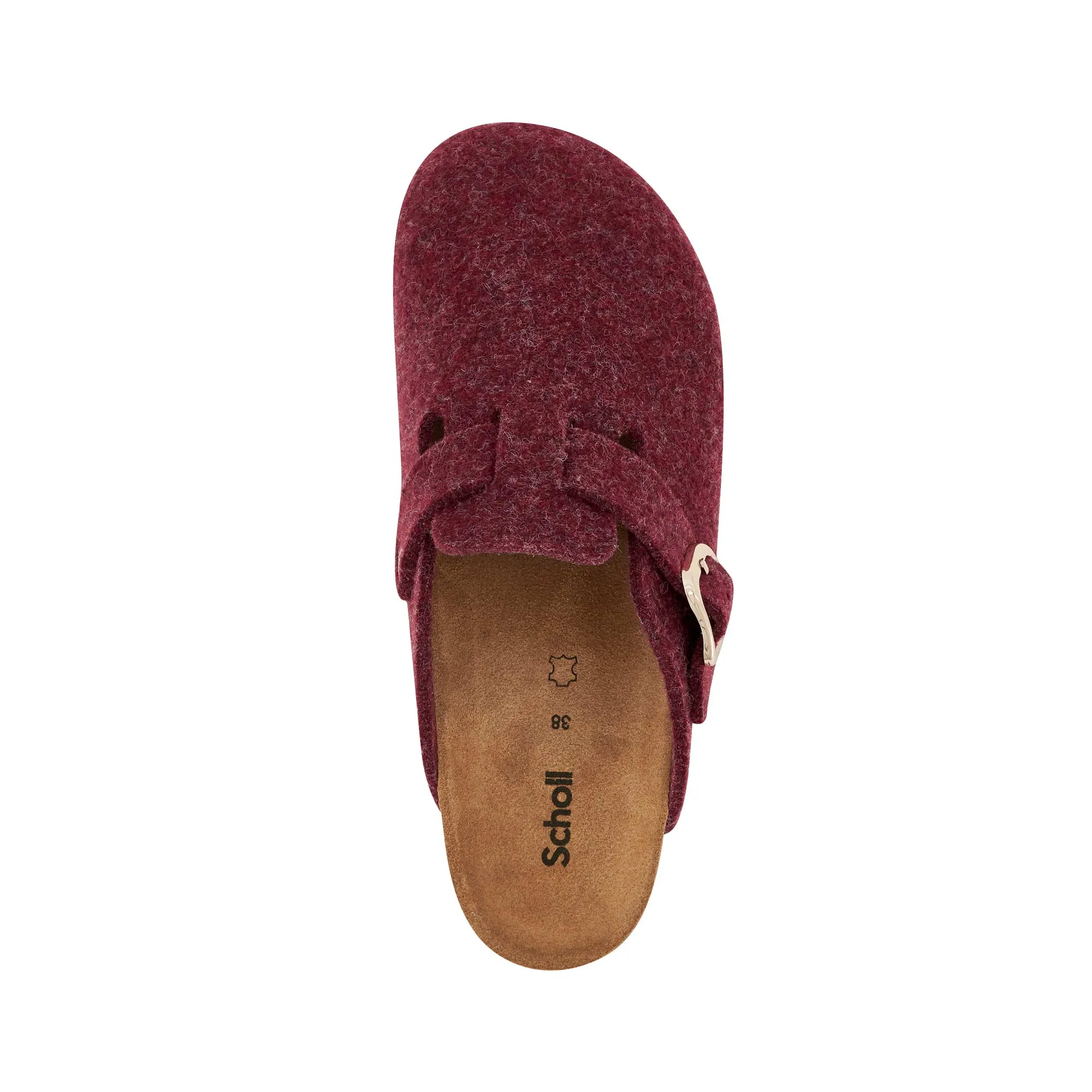 FAE NEW -Scholl