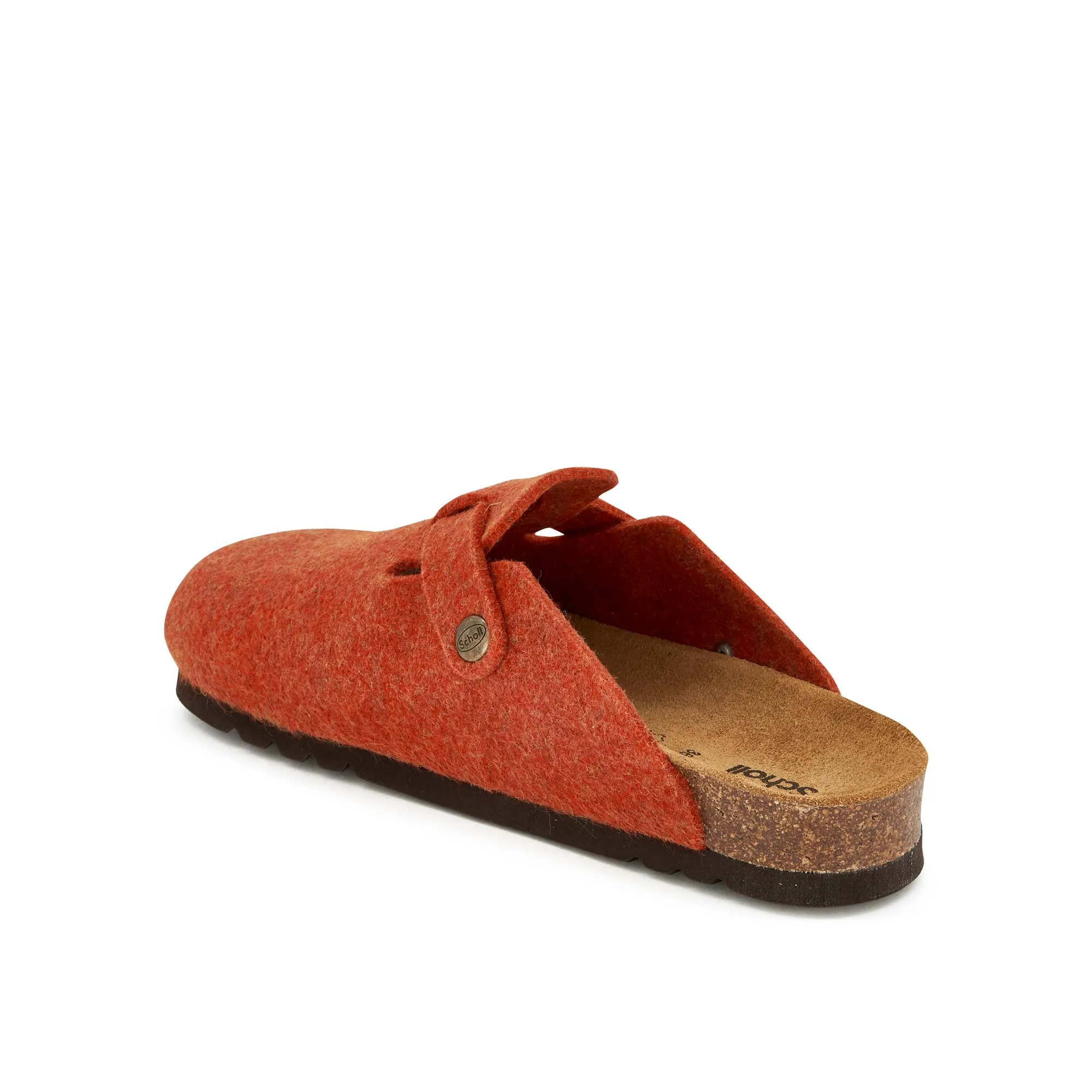 FAE NEW -Scholl