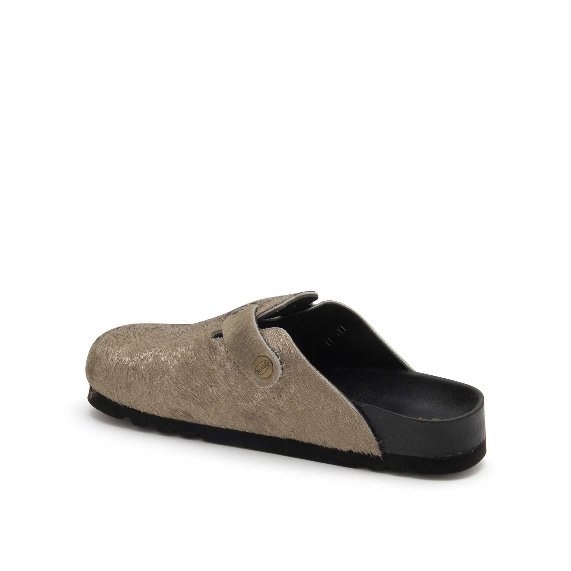 FAE NEW -Scholl