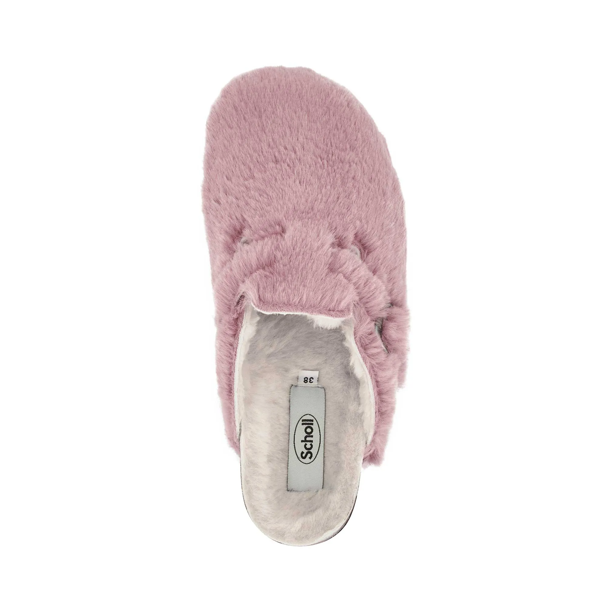 FAE NEW -Scholl