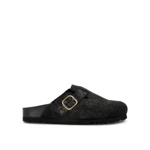 FAE NEW -Scholl