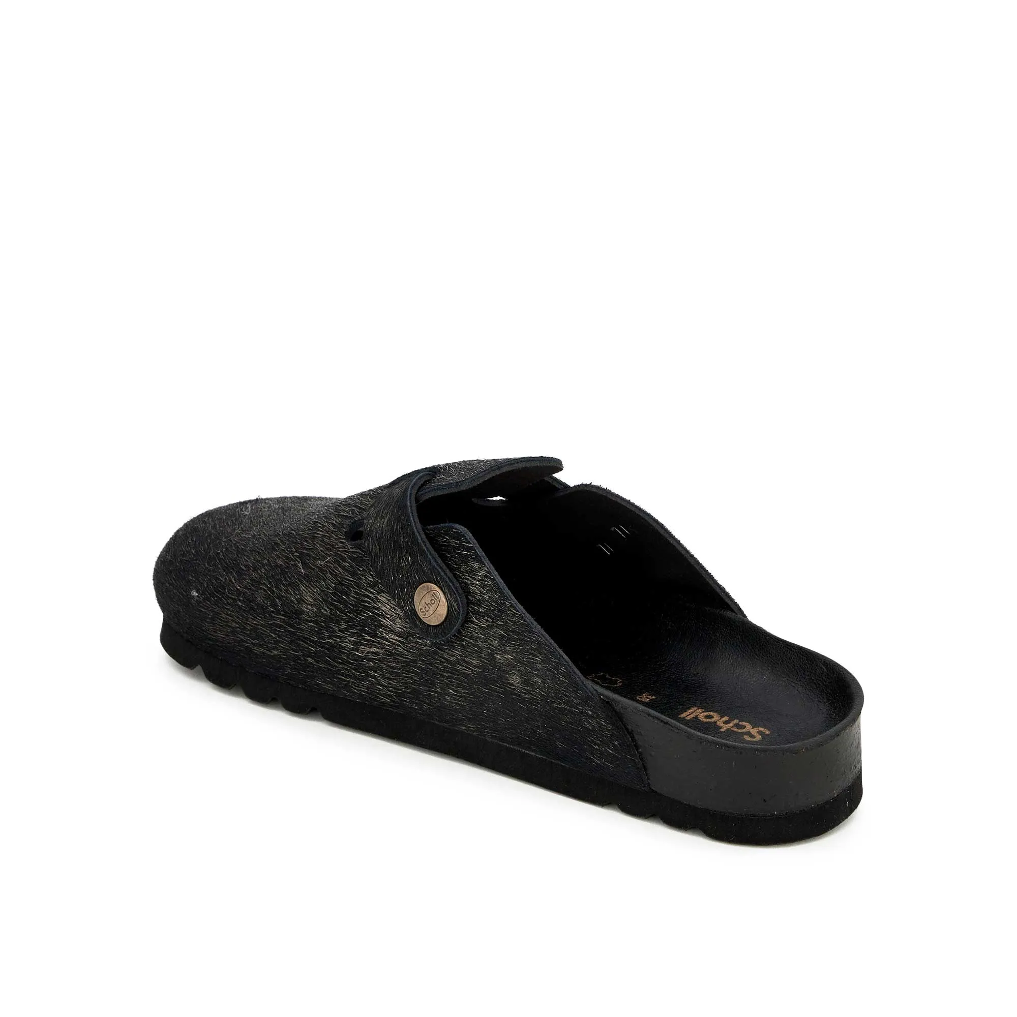 FAE NEW -Scholl