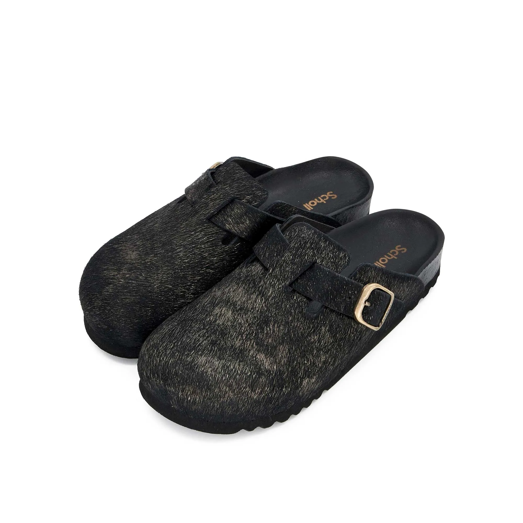 FAE NEW -Scholl