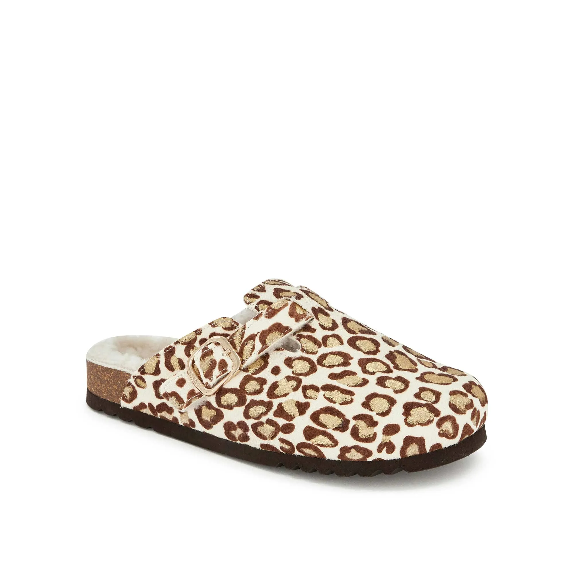FAE NEW -Scholl