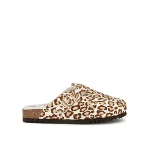 FAE NEW -Scholl