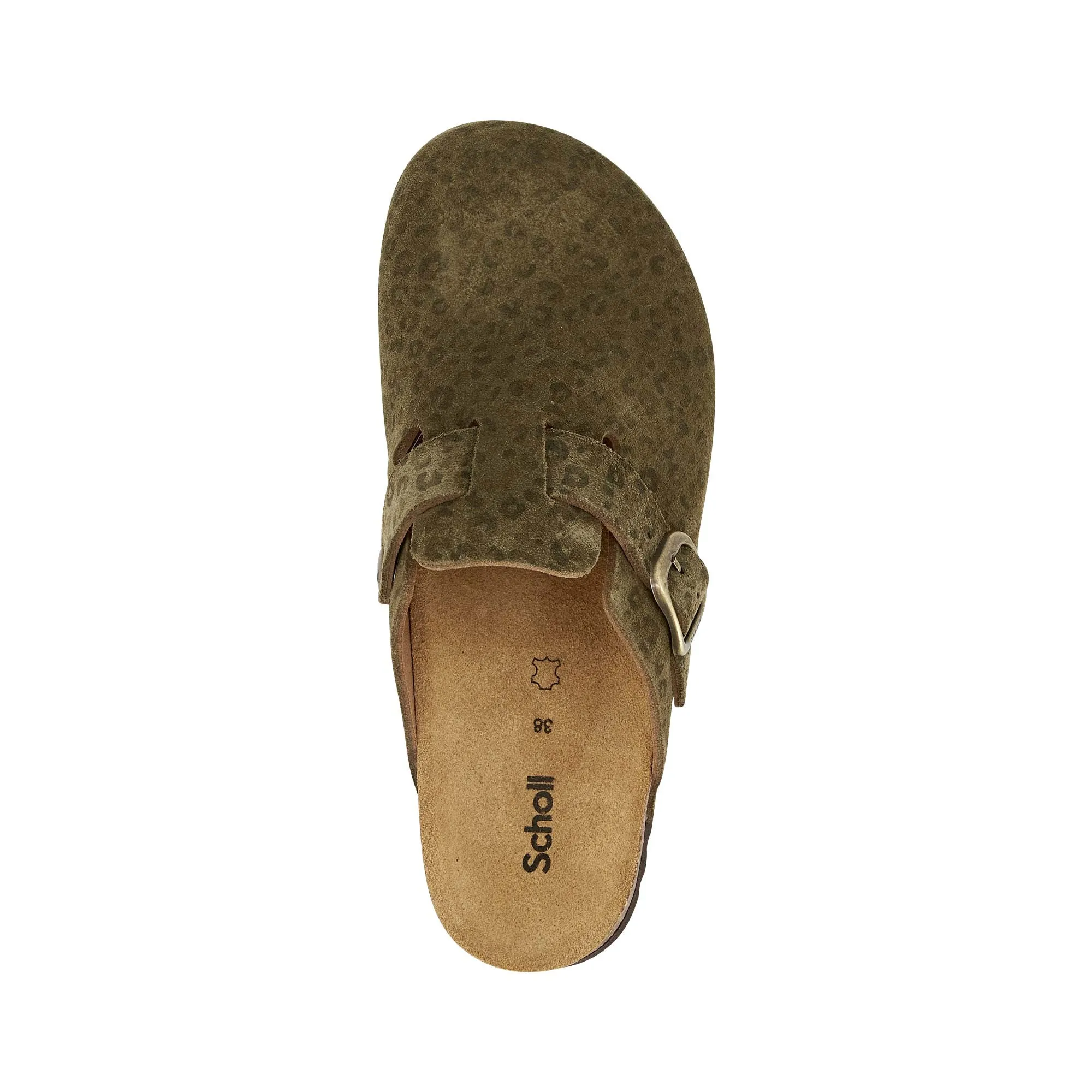 FAE NEW -Scholl