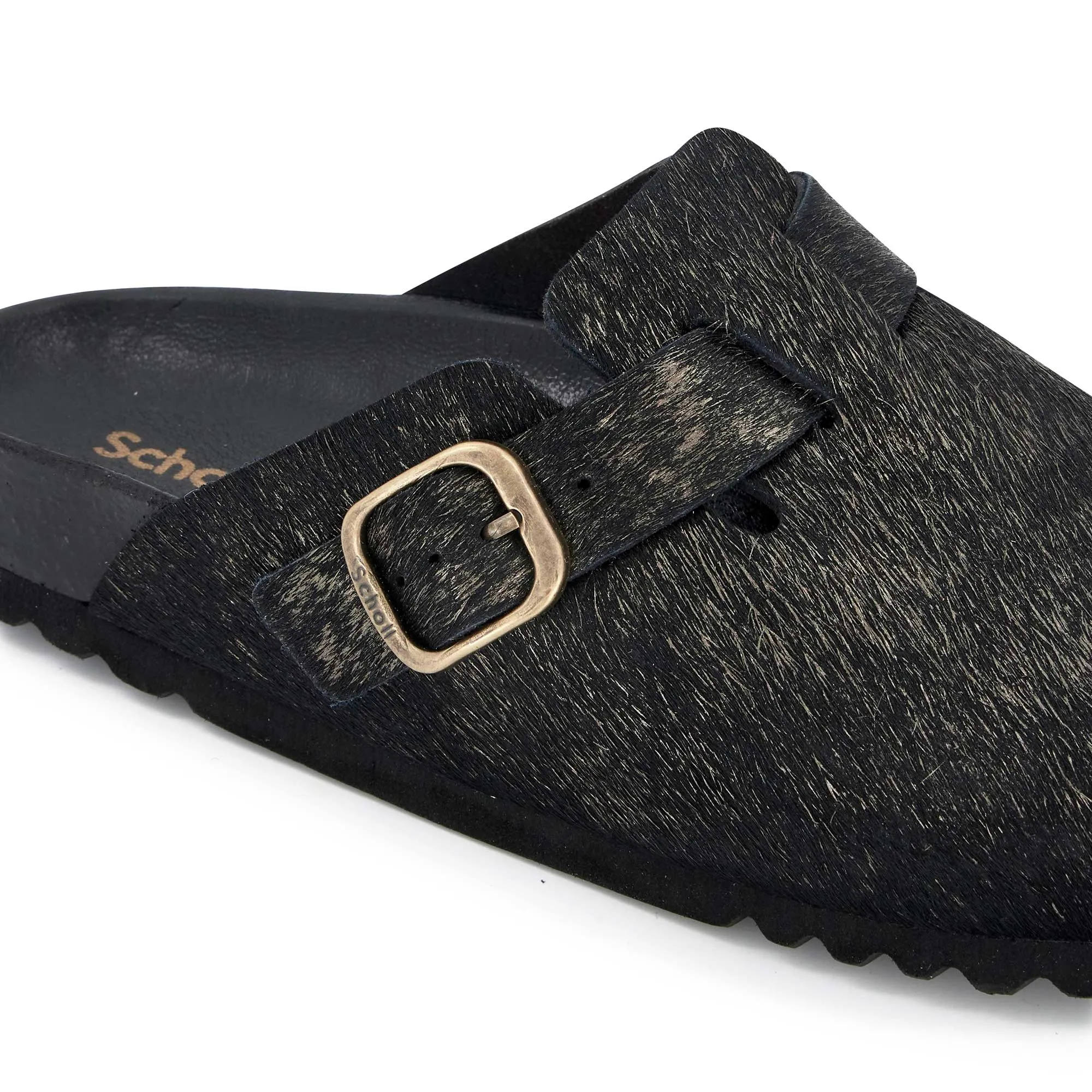 FAE NEW -Scholl