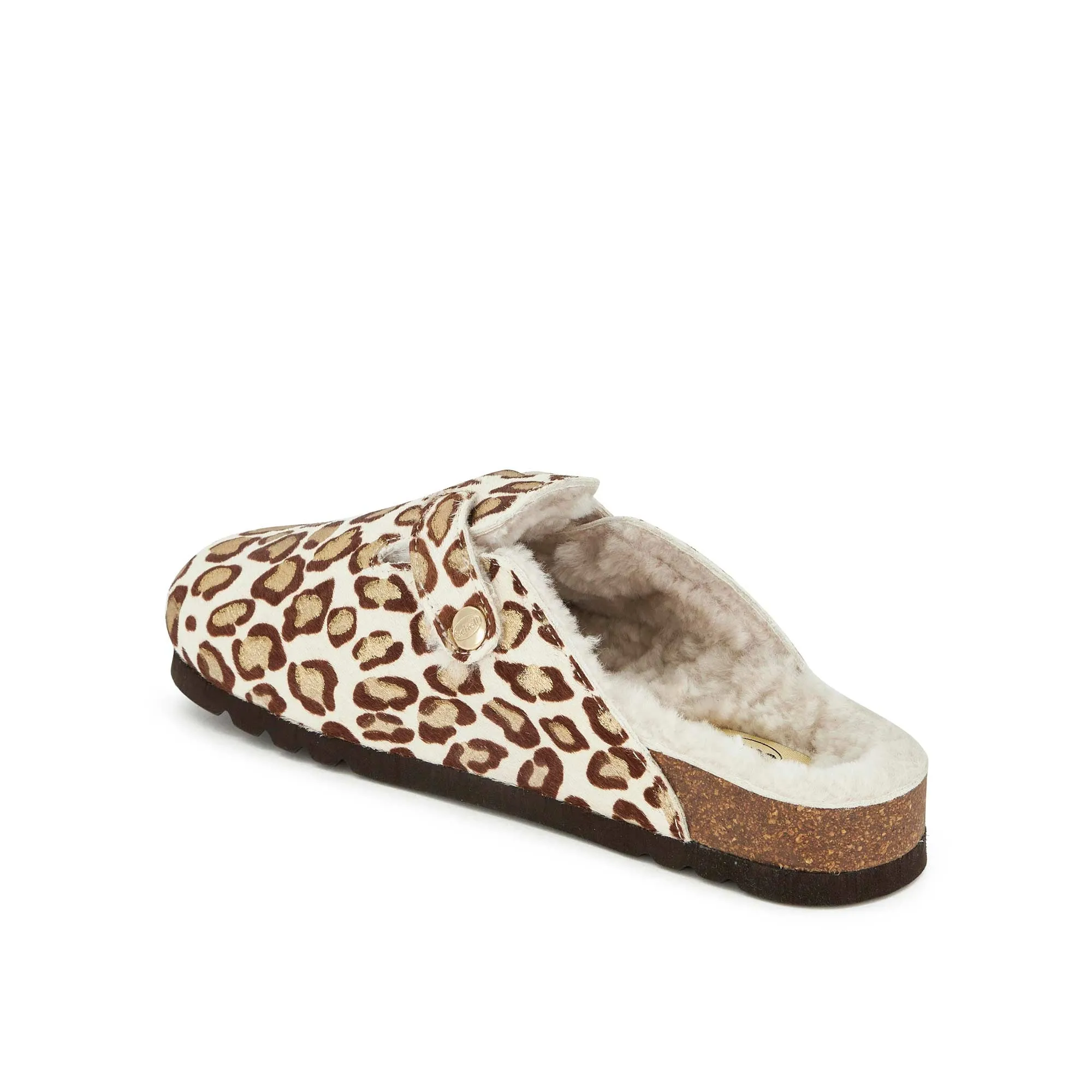 FAE NEW -Scholl