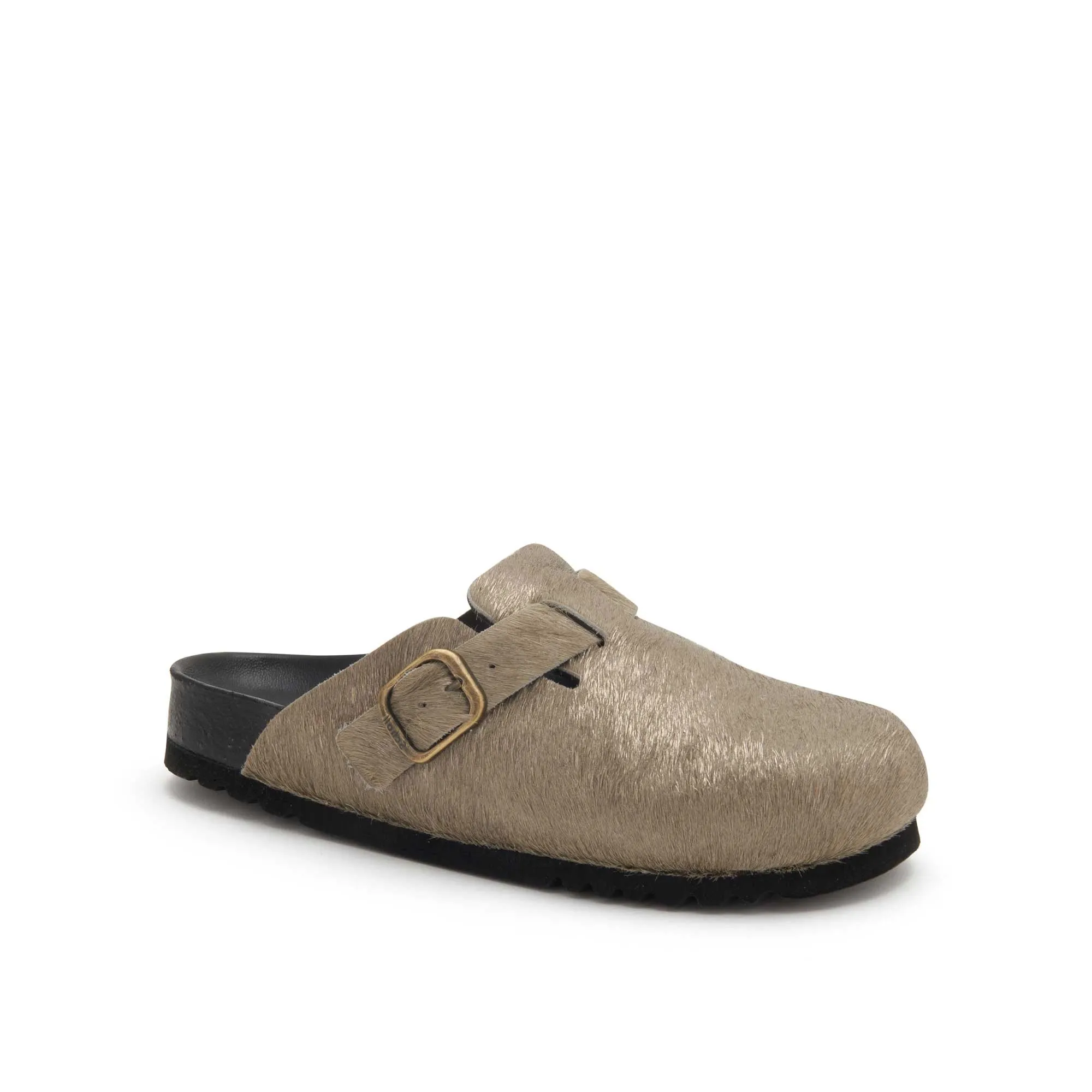 FAE NEW -Scholl
