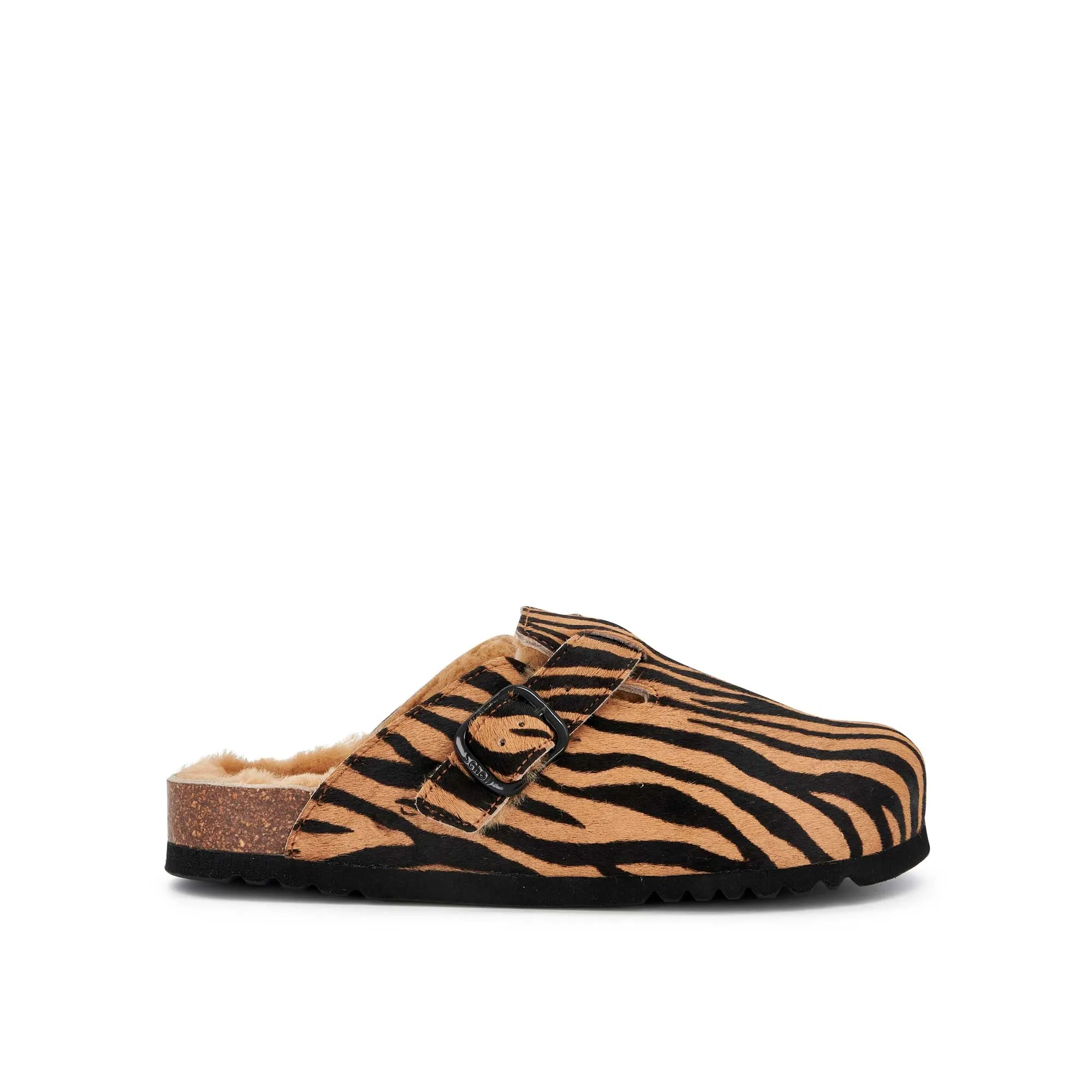 FAE NEW -Scholl