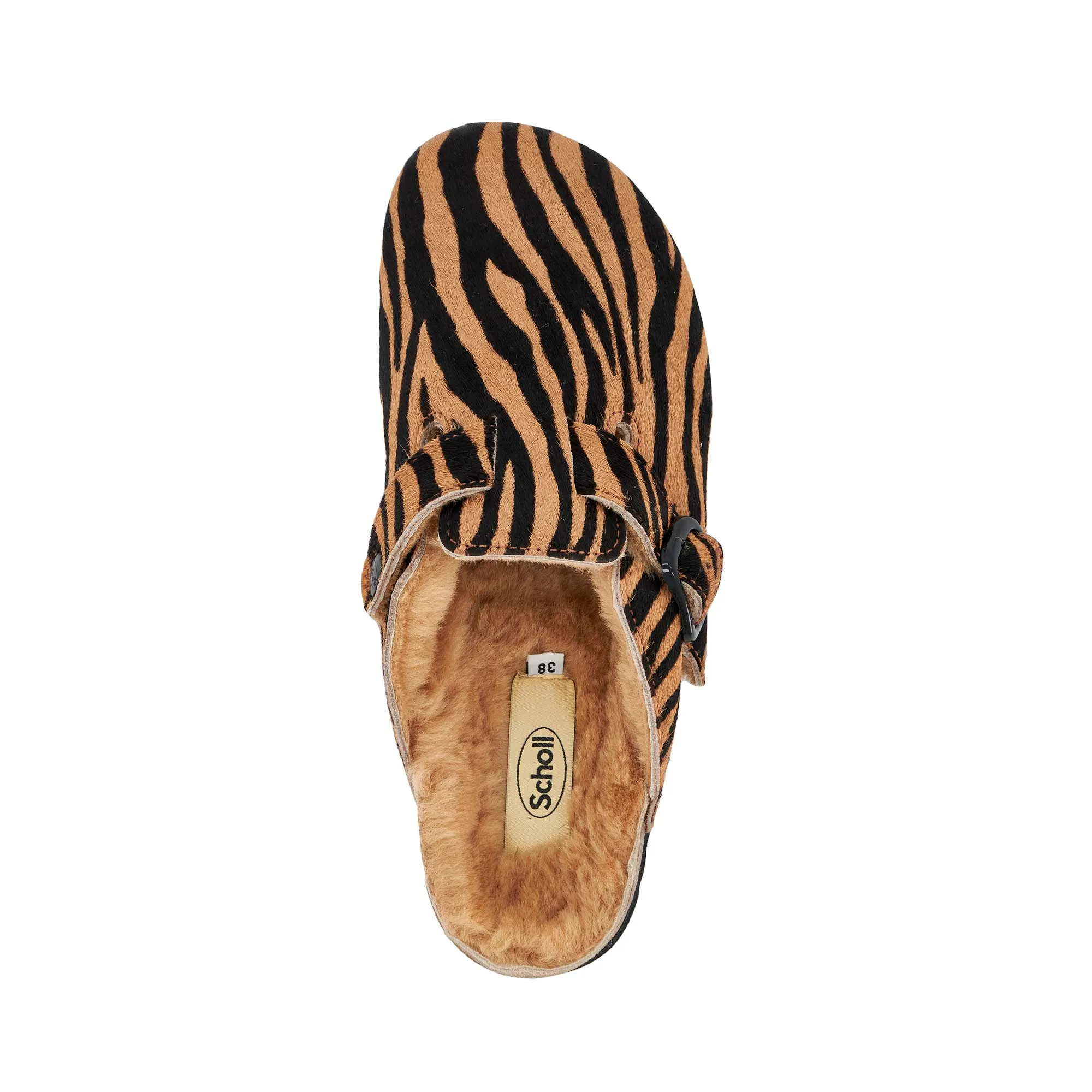 FAE NEW -Scholl