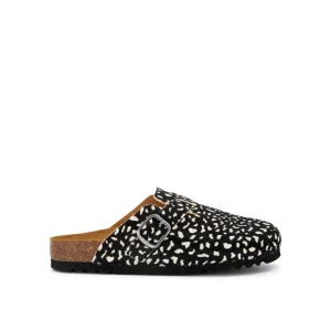 FAE NEW -Scholl