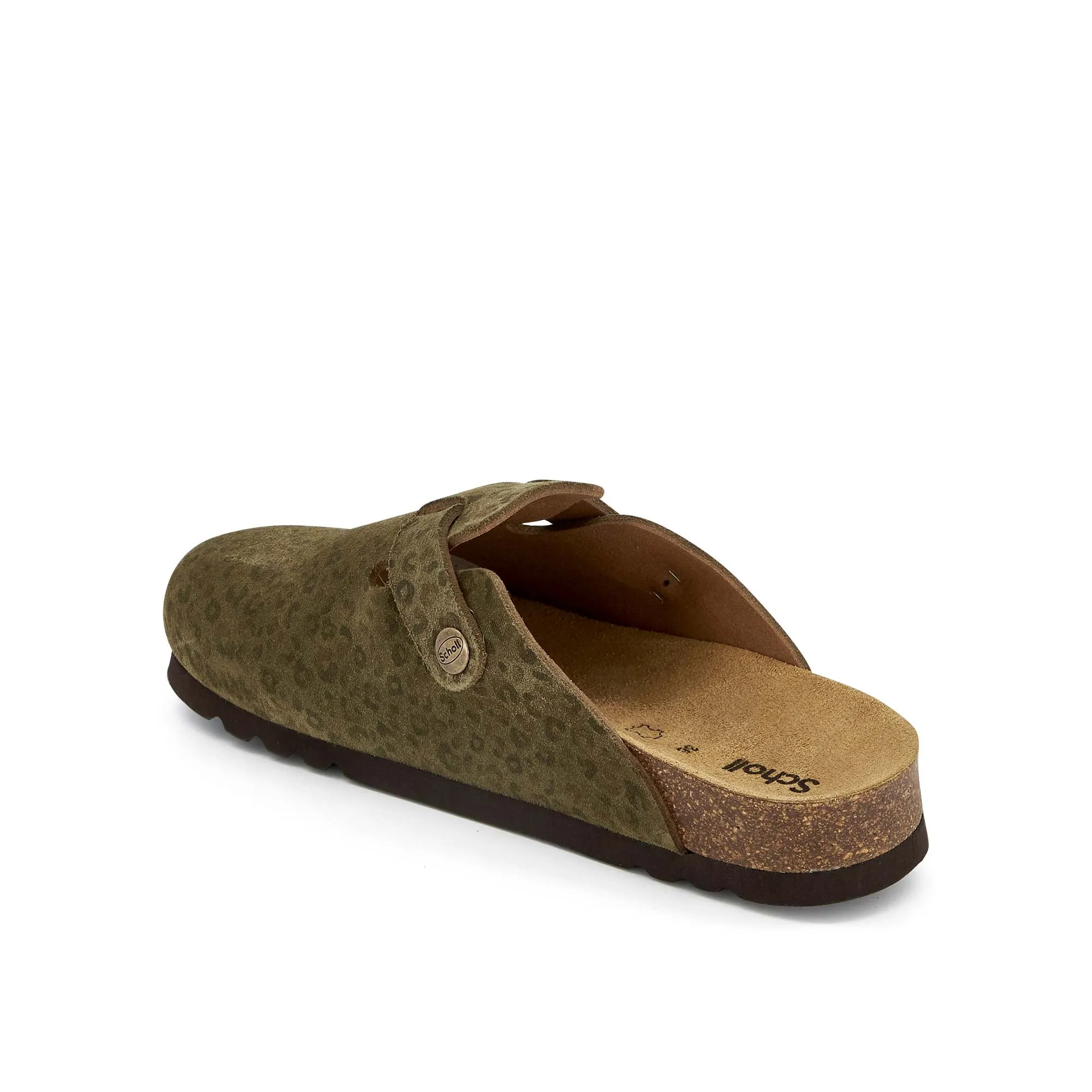 FAE NEW -Scholl