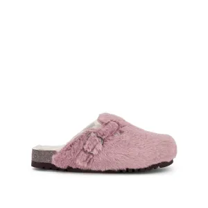 FAE NEW -Scholl