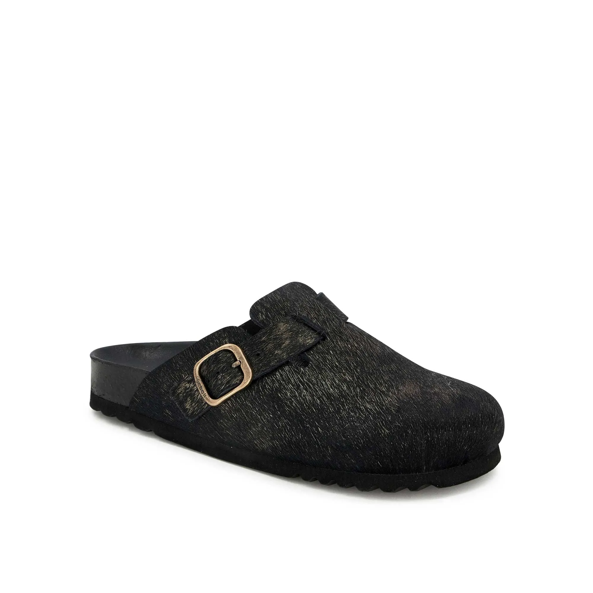 FAE NEW -Scholl