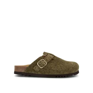 FAE NEW -Scholl