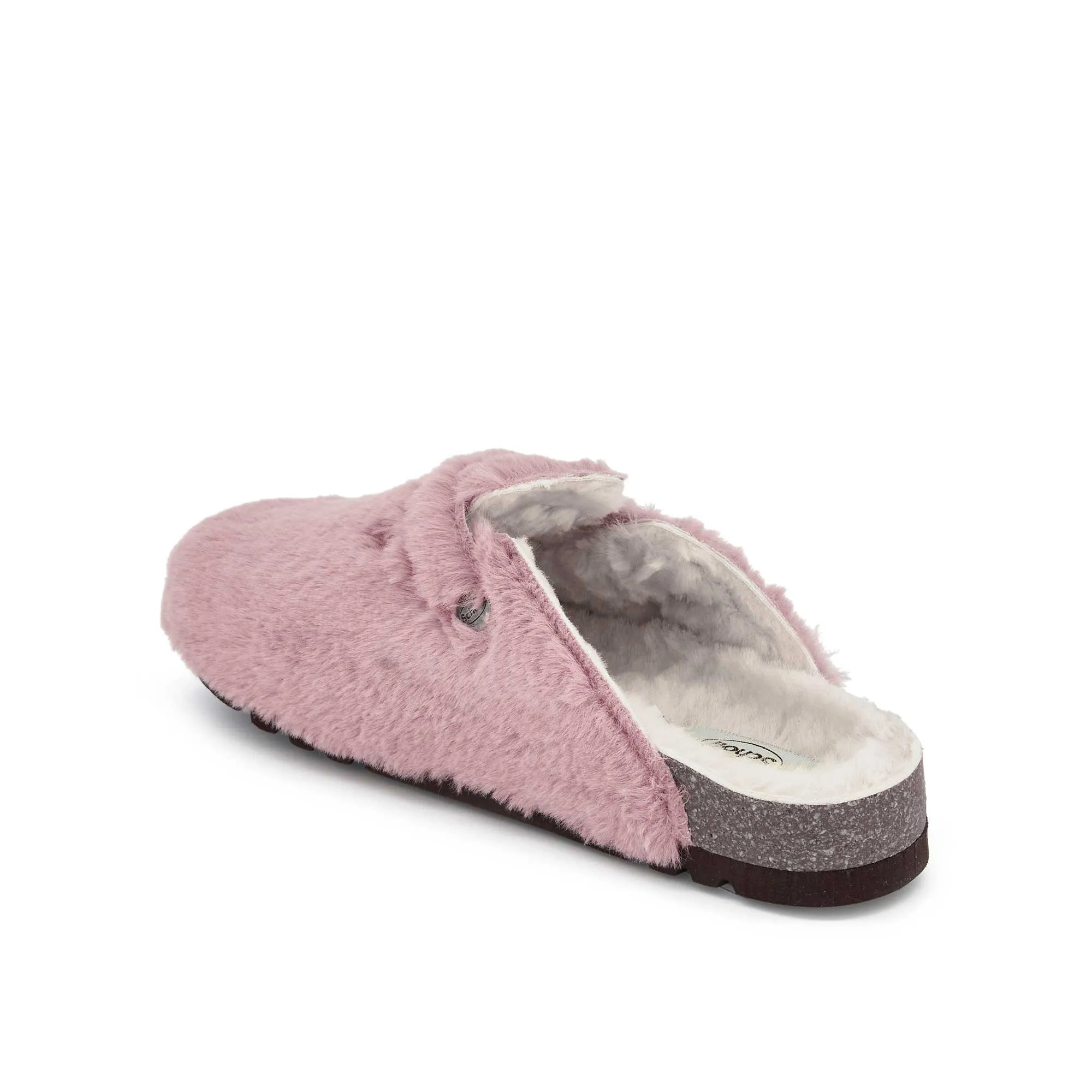 FAE NEW -Scholl