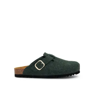 FAE NEW -Scholl