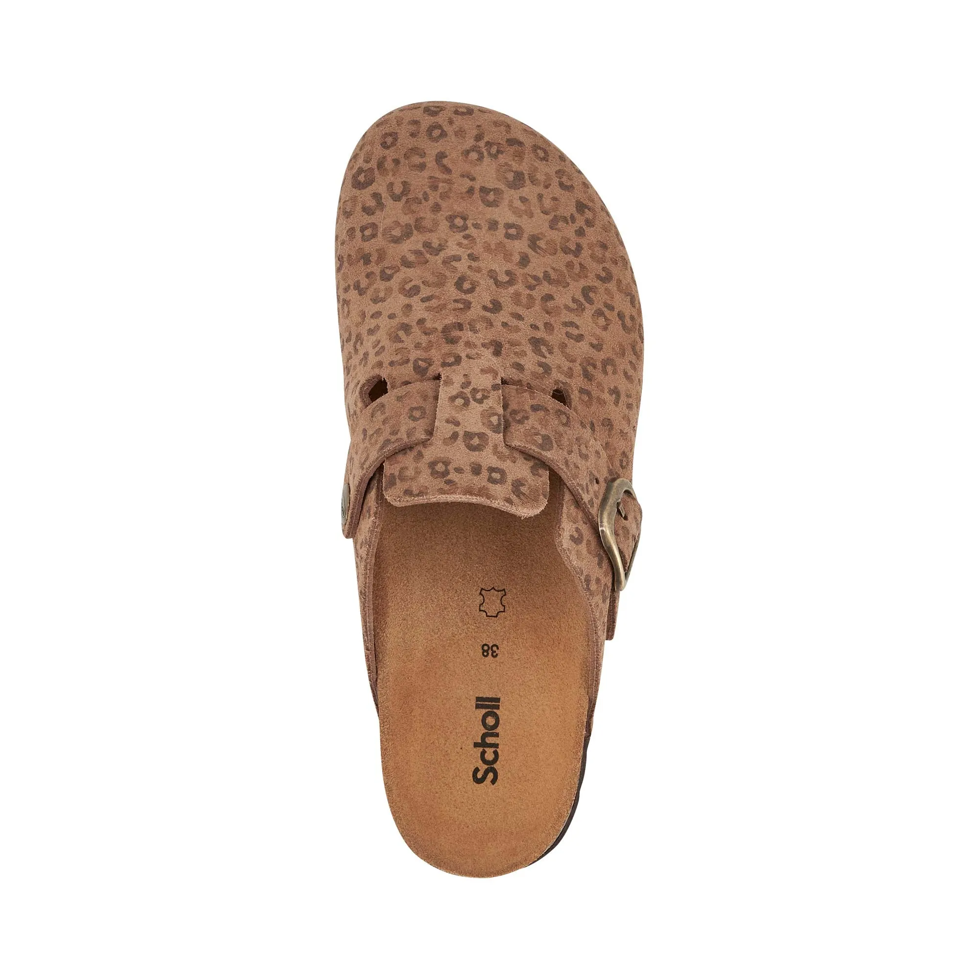 FAE NEW -Scholl