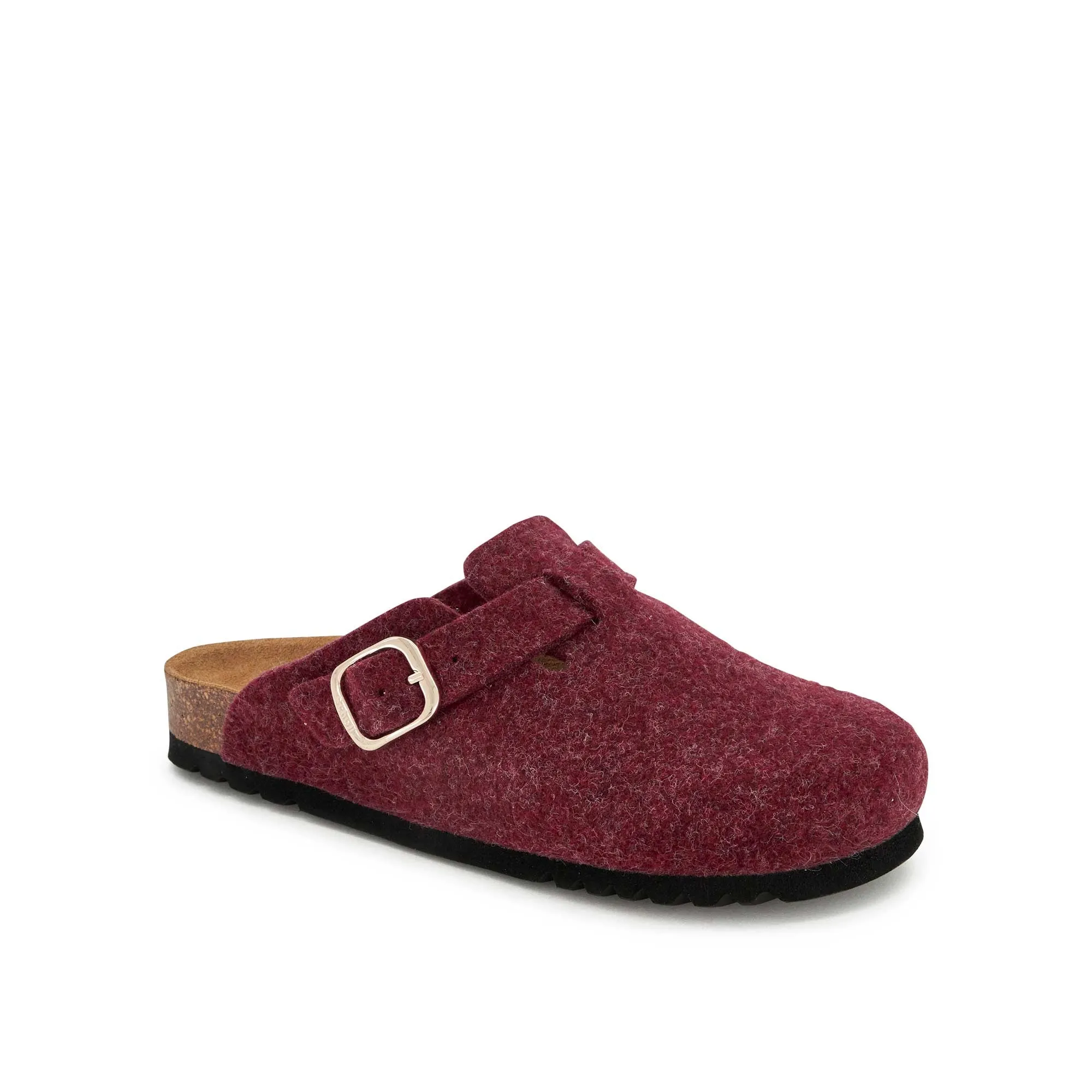 FAE NEW -Scholl