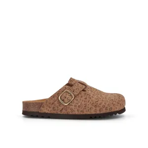 FAE NEW -Scholl