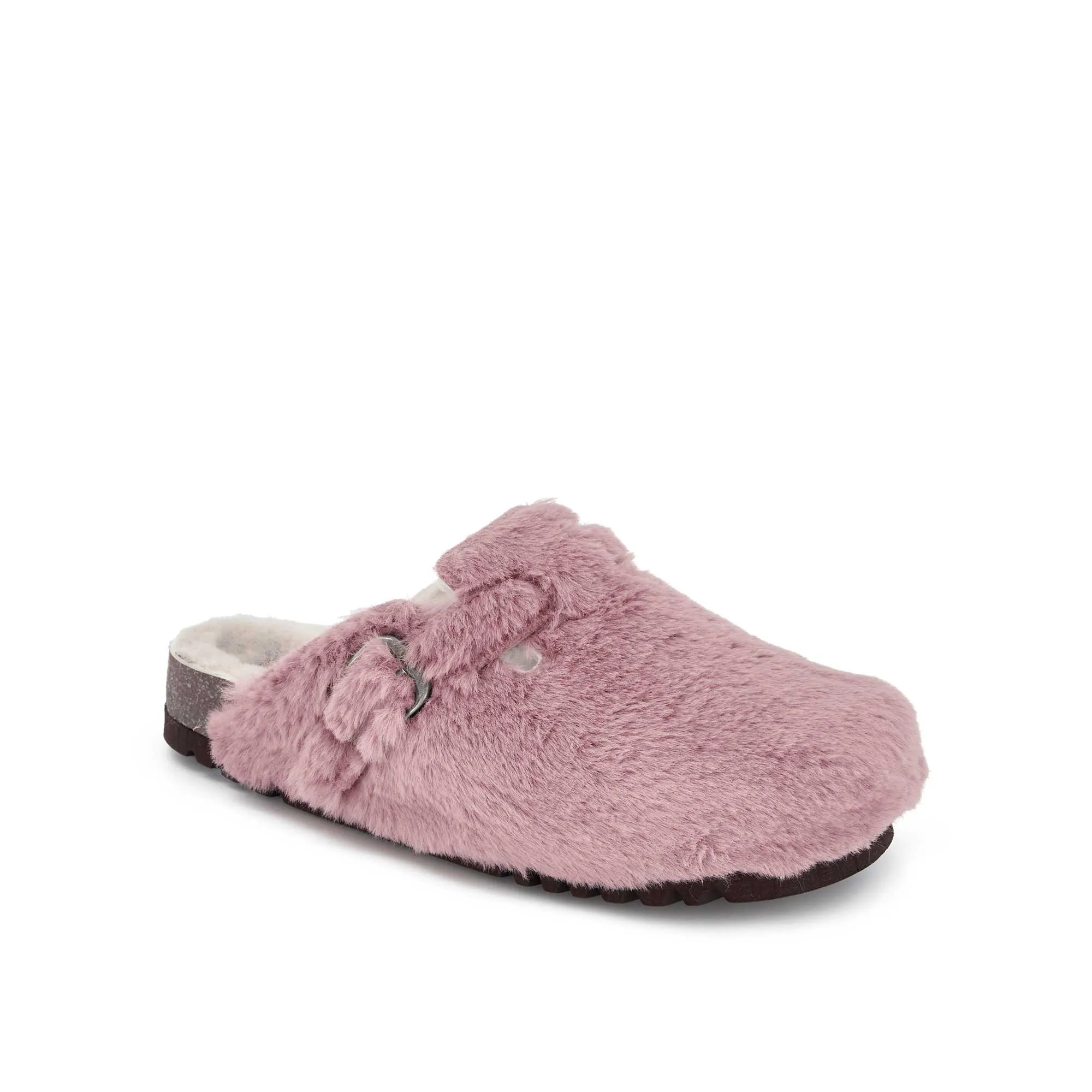 FAE NEW -Scholl