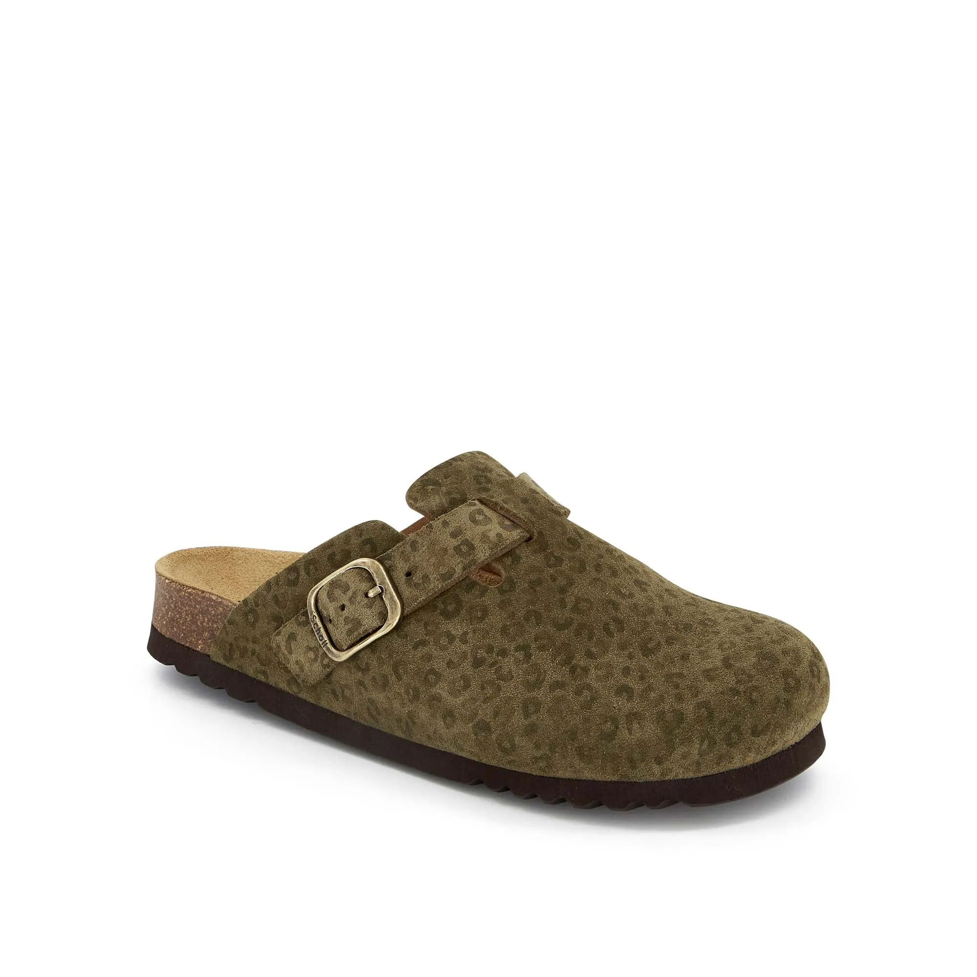 FAE NEW -Scholl