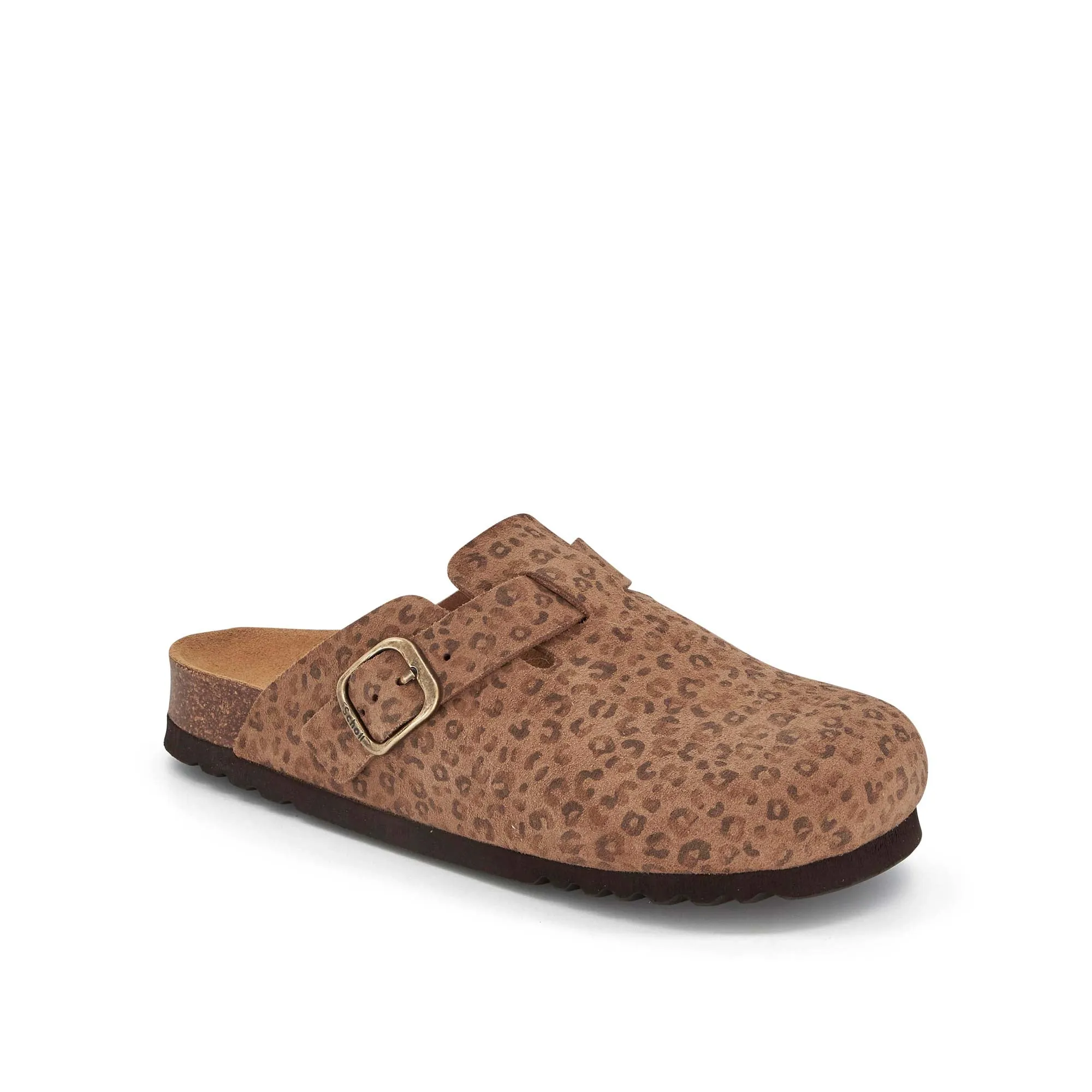 FAE NEW -Scholl