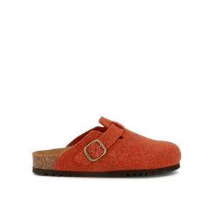 FAE NEW -Scholl