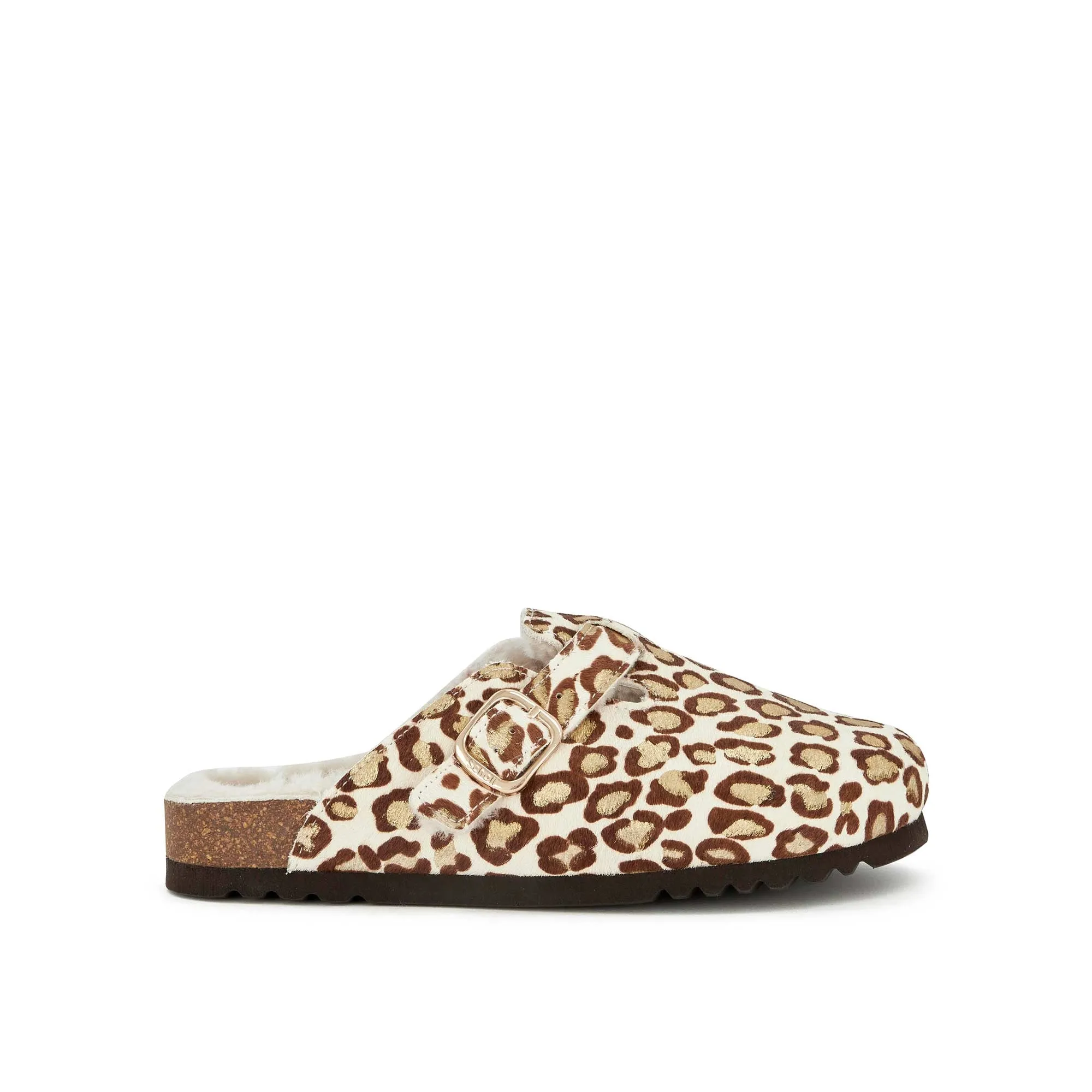 FAE NEW -Scholl
